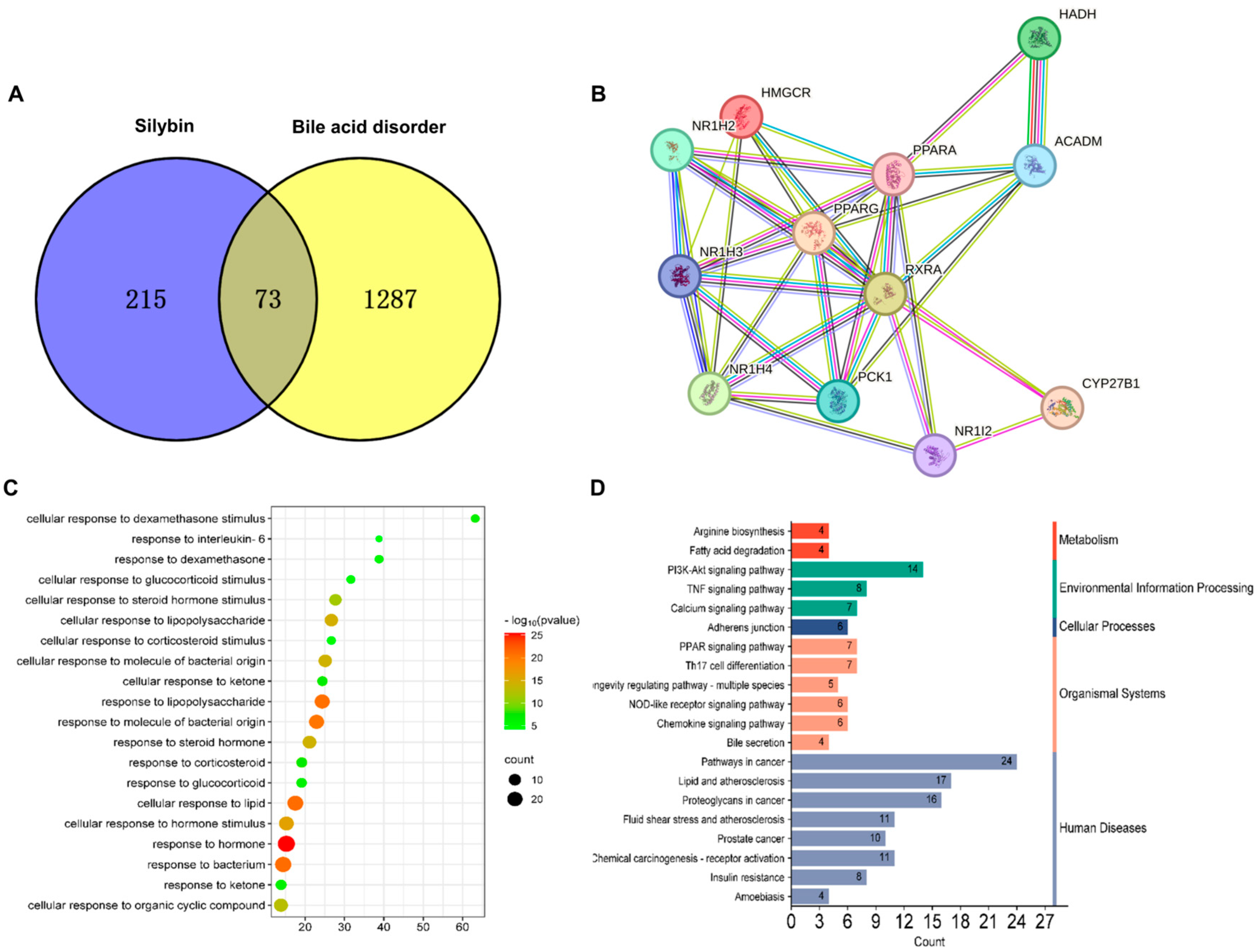 Metabolites 14 00556 g005