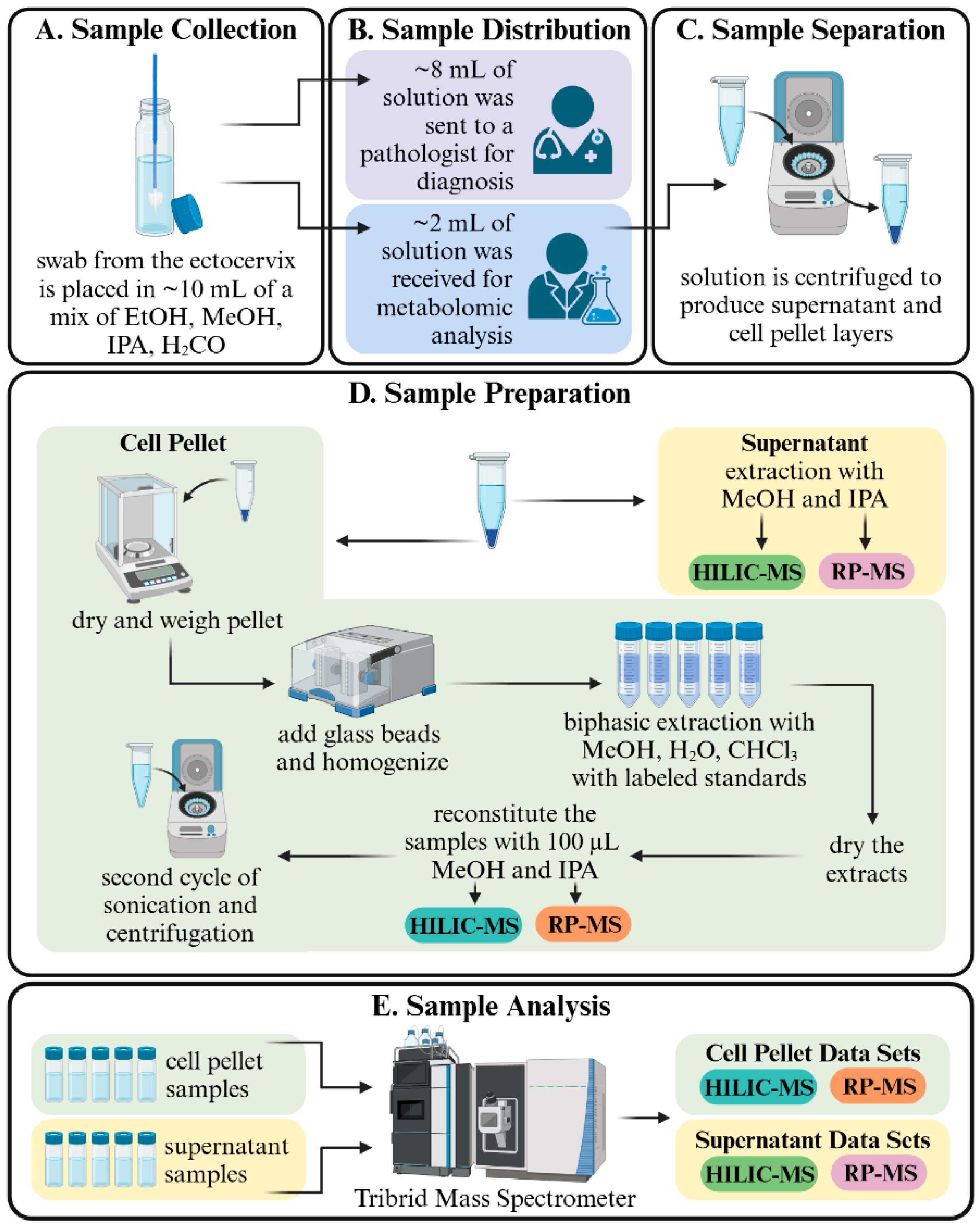 Metabolites 14 00600 g001