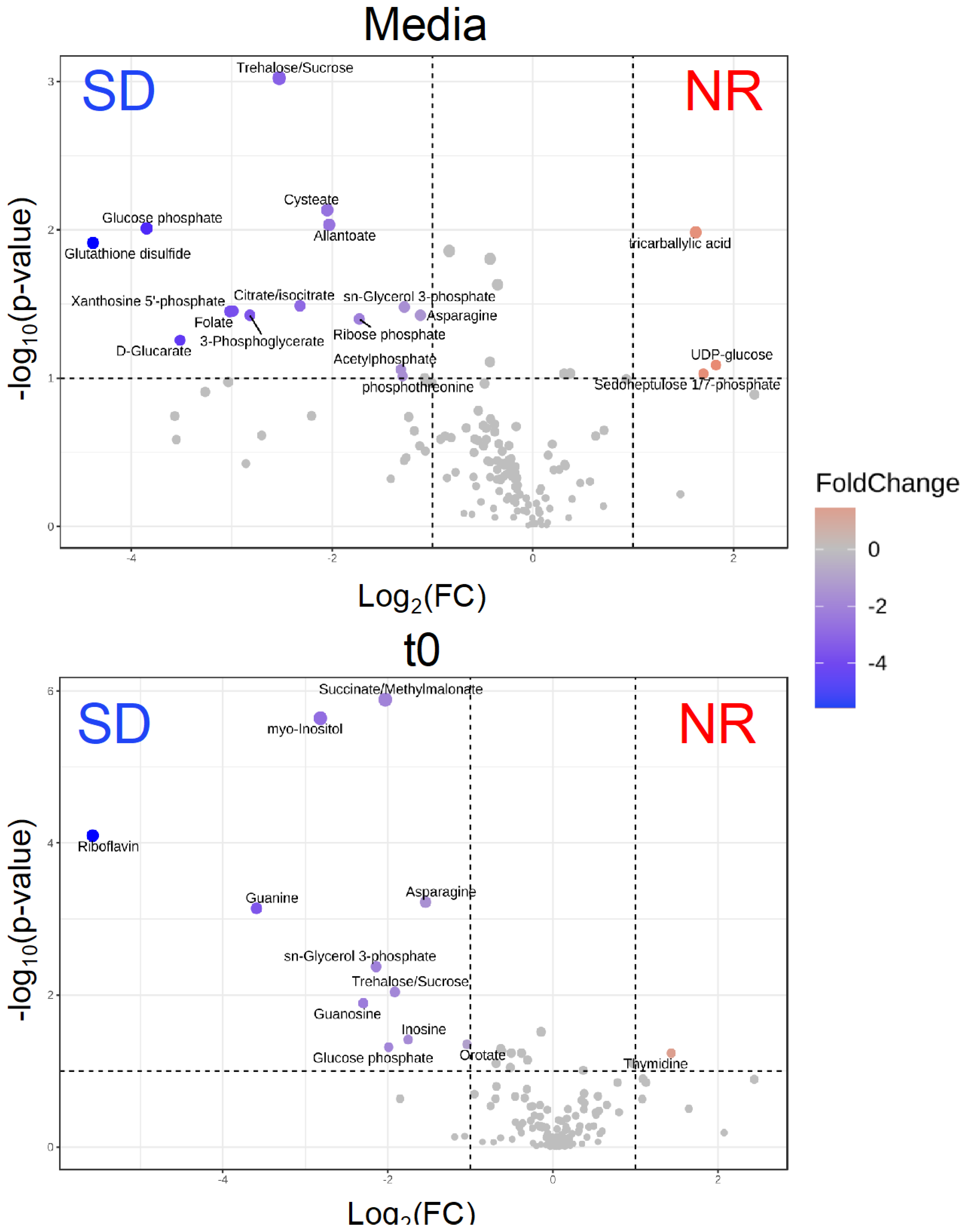 Metabolites 14 00650 g003