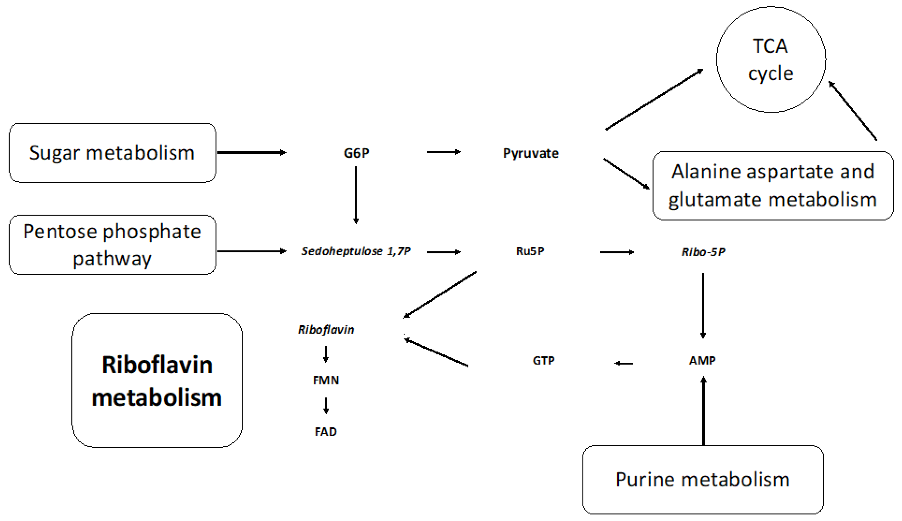 Metabolites 14 00650 g007