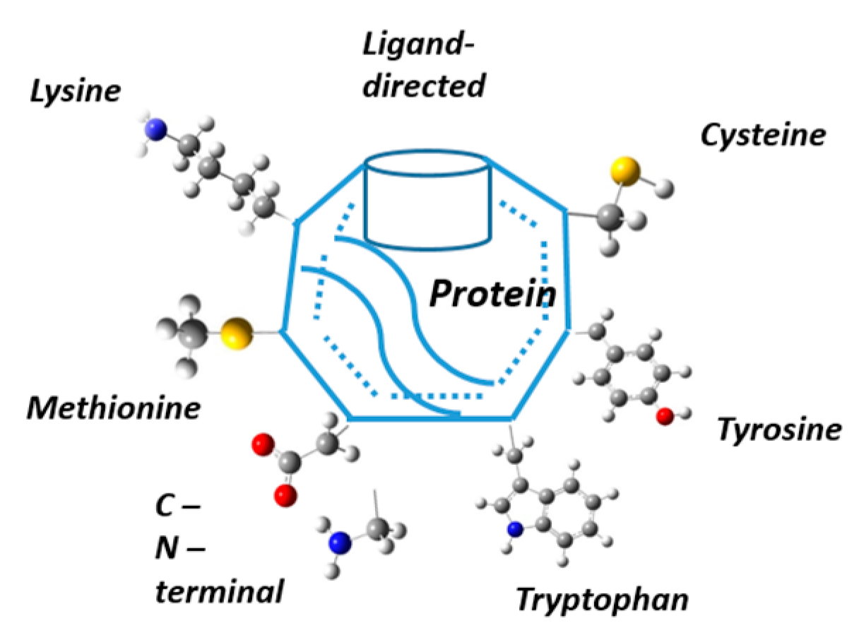 Metabolites 14 00668 g001