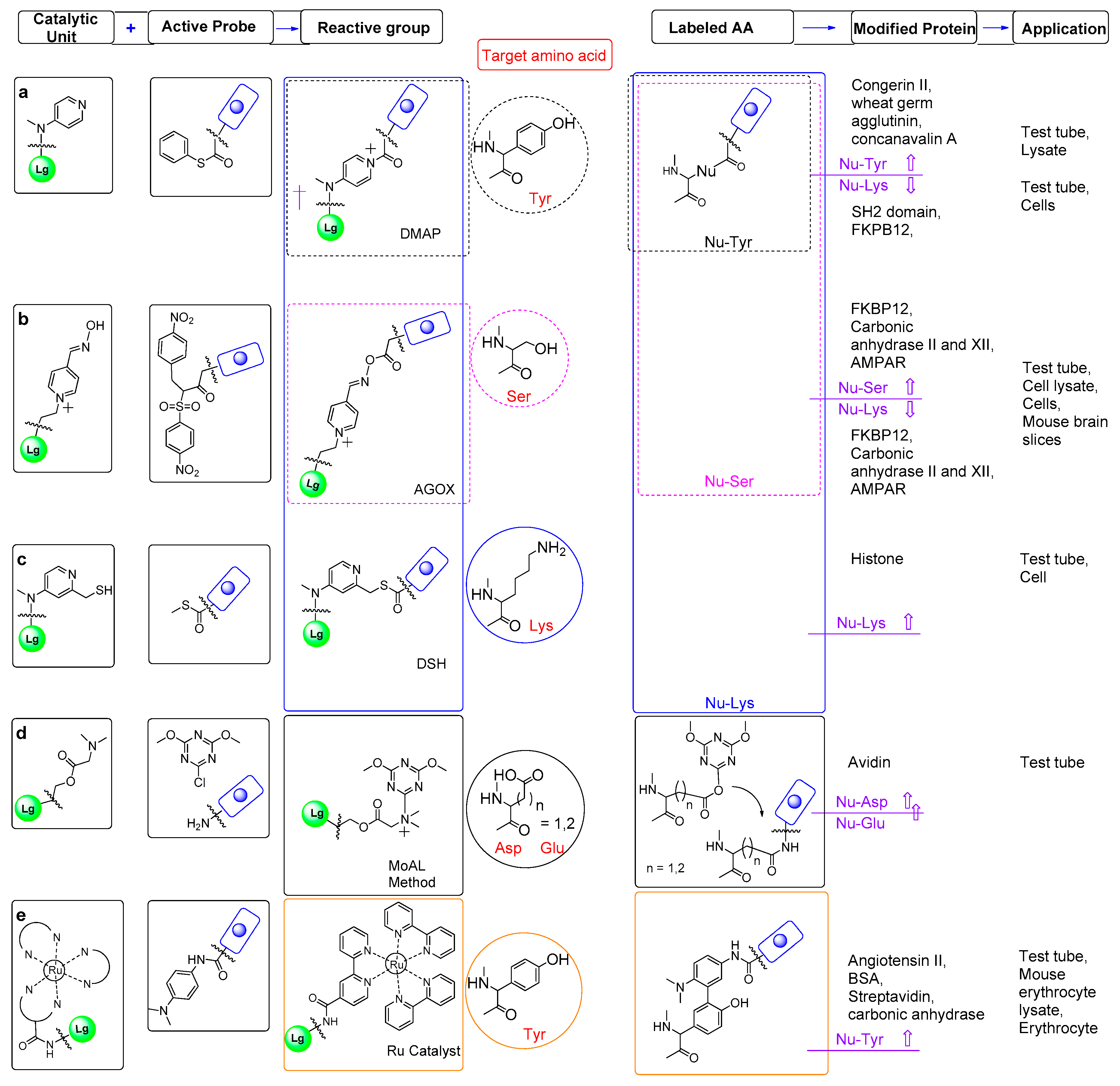 Metabolites 14 00668 g005
