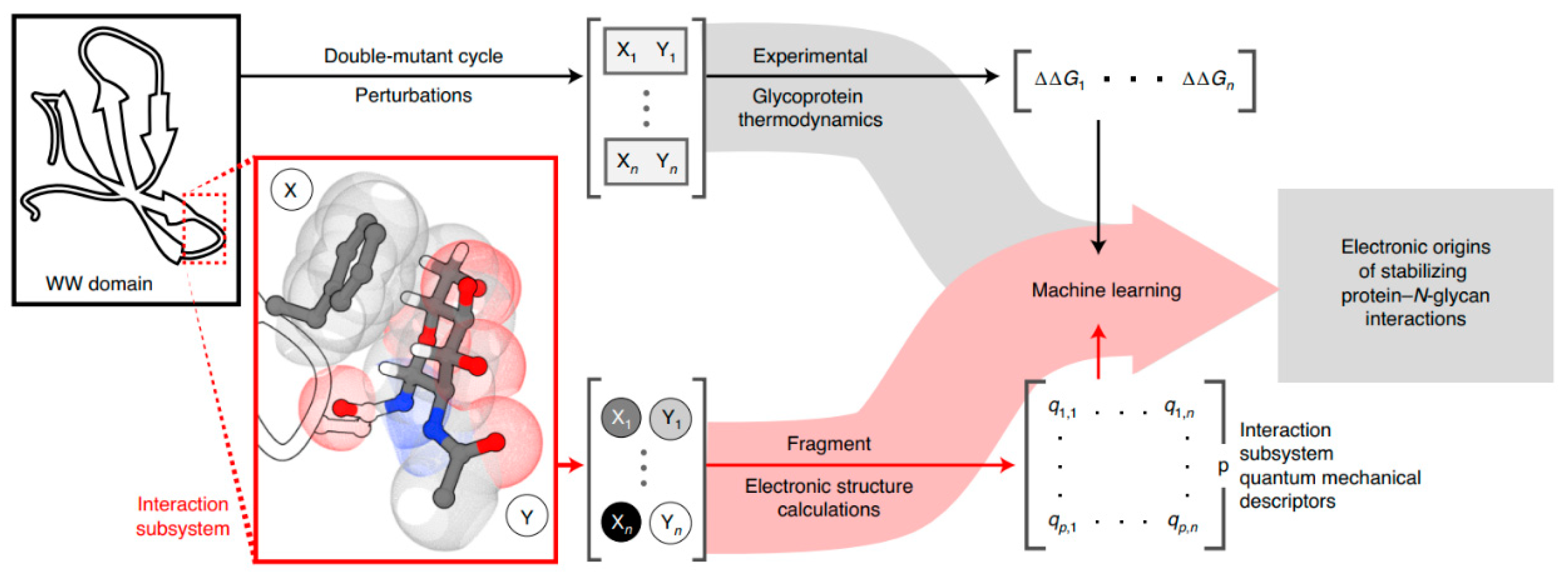 Metabolites 14 00668 g011