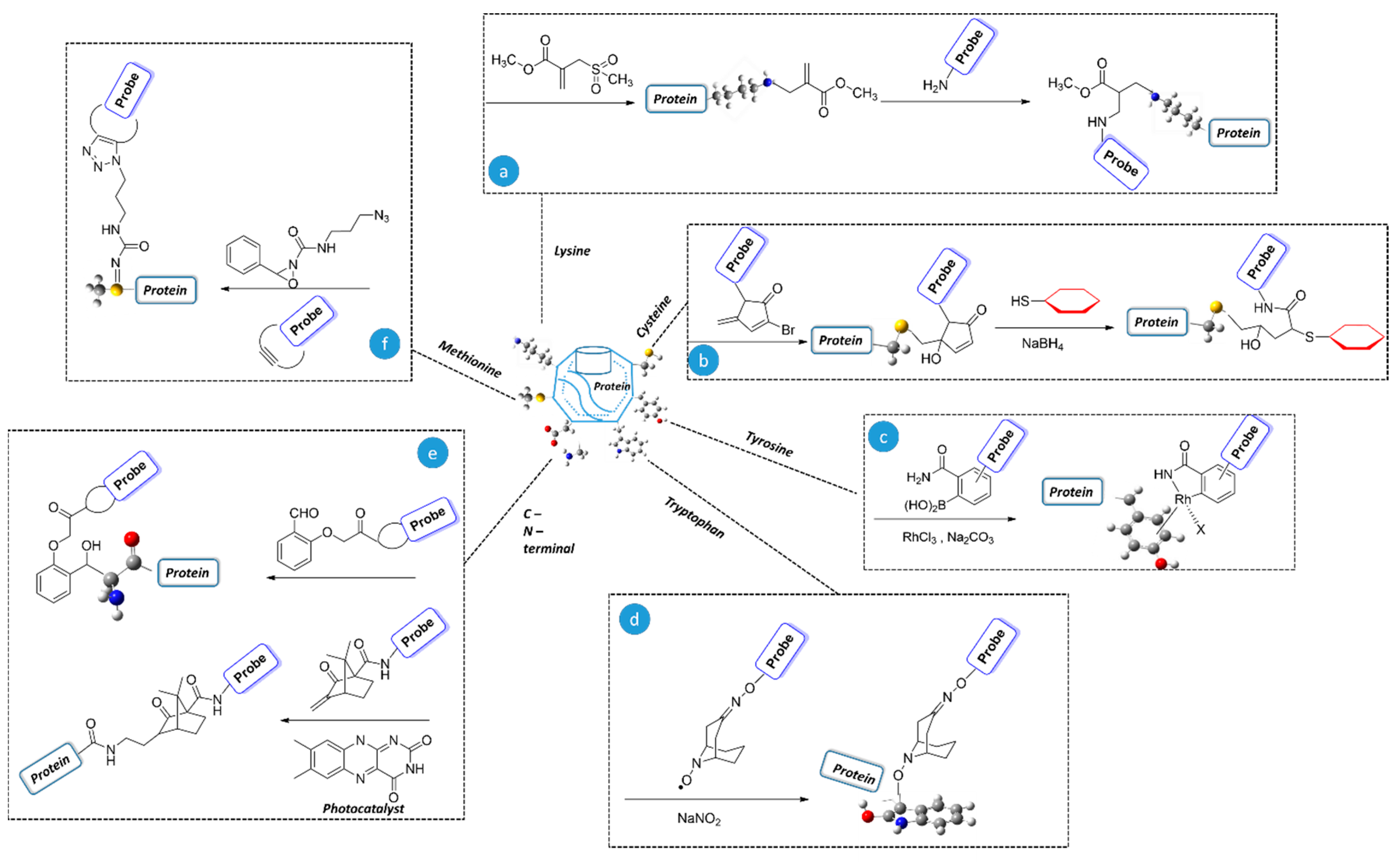 Metabolites 14 00668 sch001