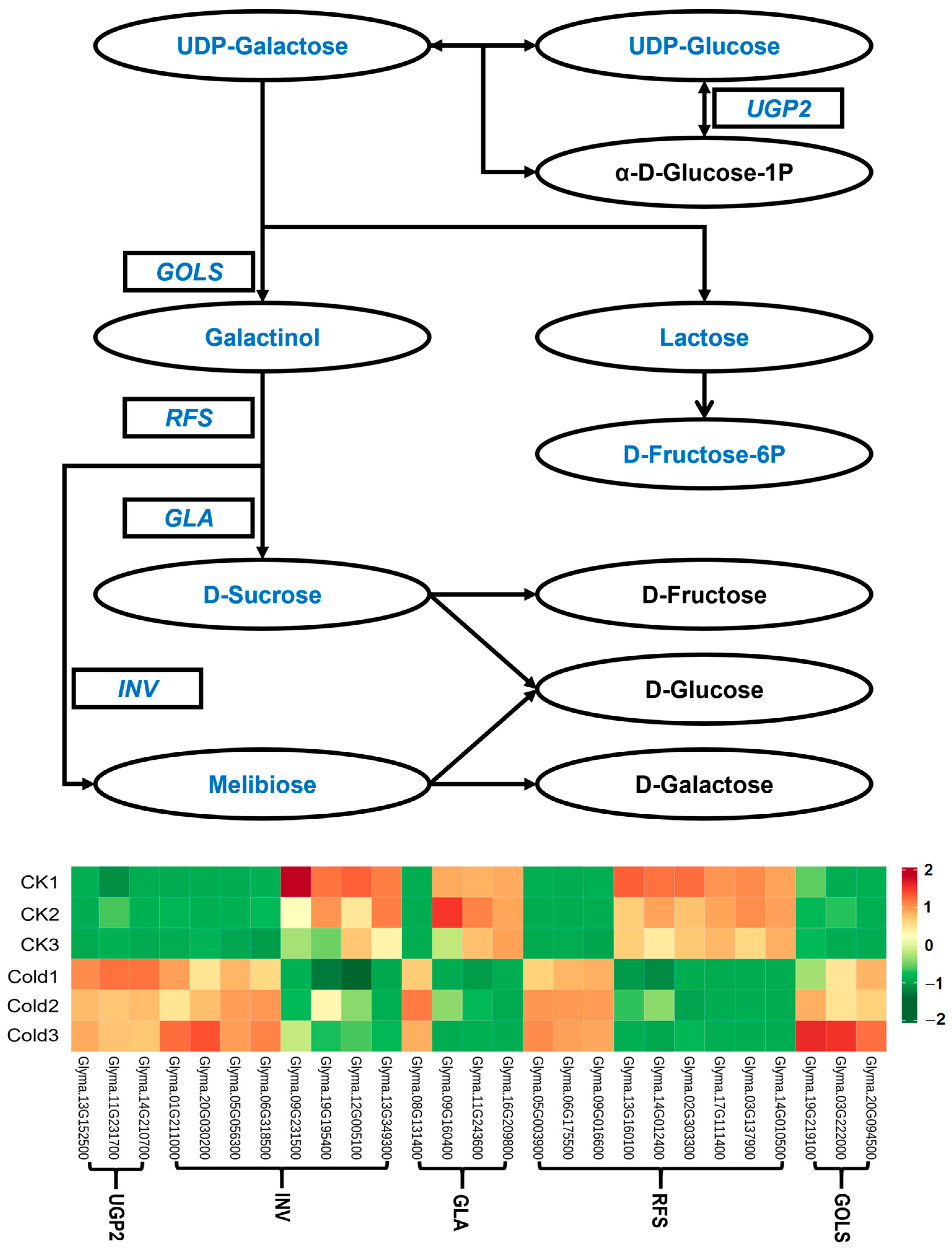Metabolites 14 00687 g003