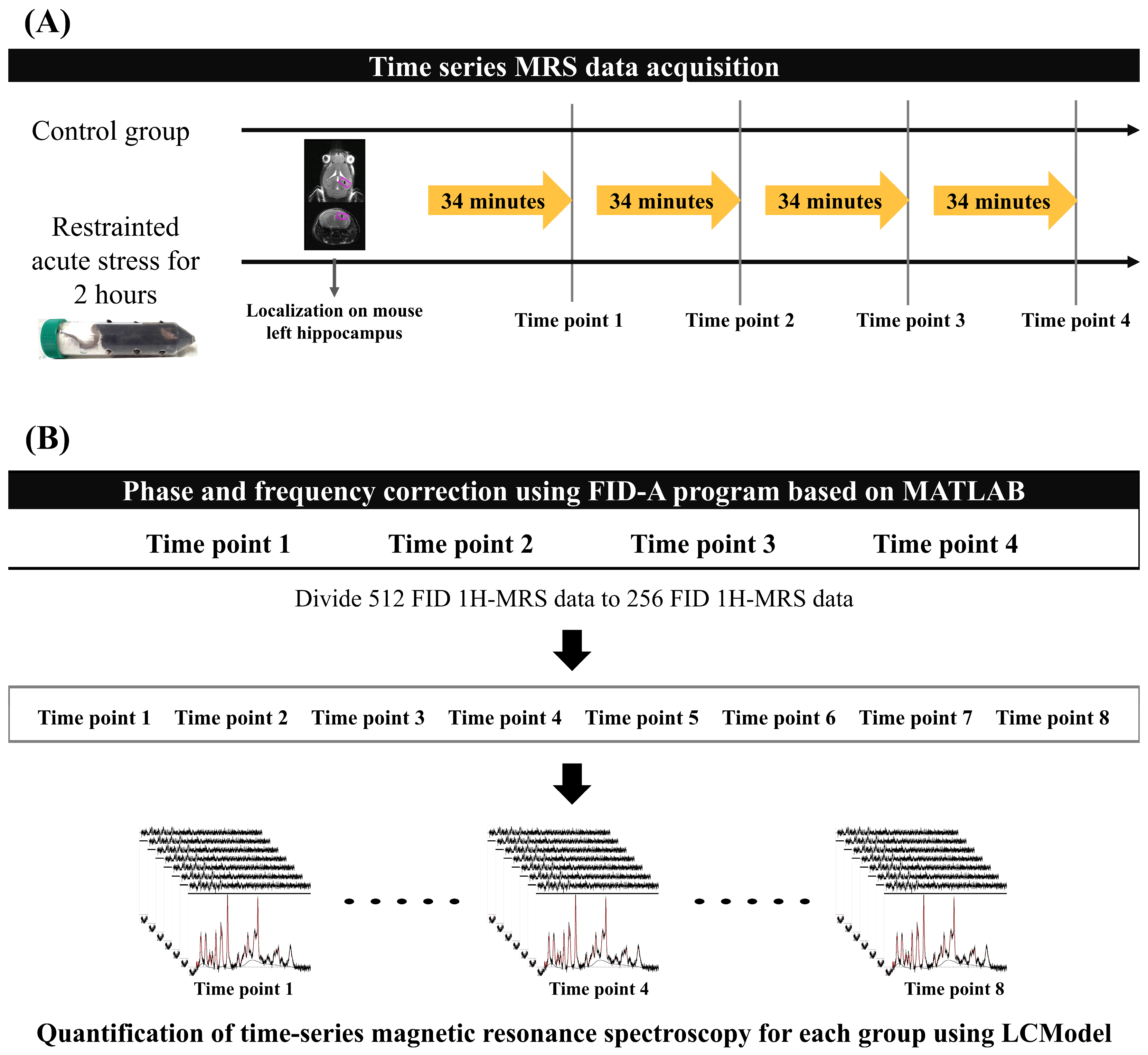 Metabolites 14 00699 g001