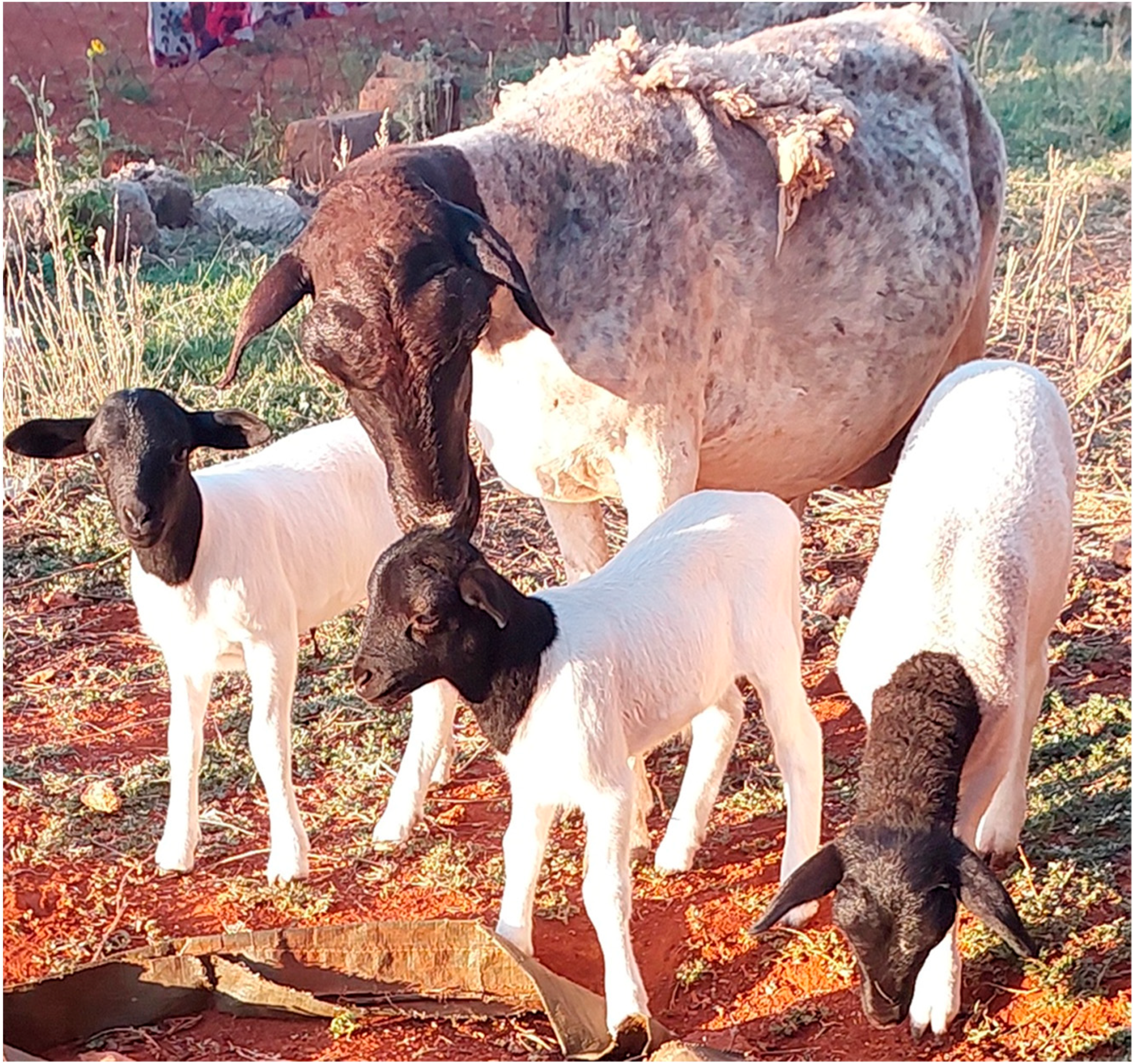 Metabolites 14 00712 g003