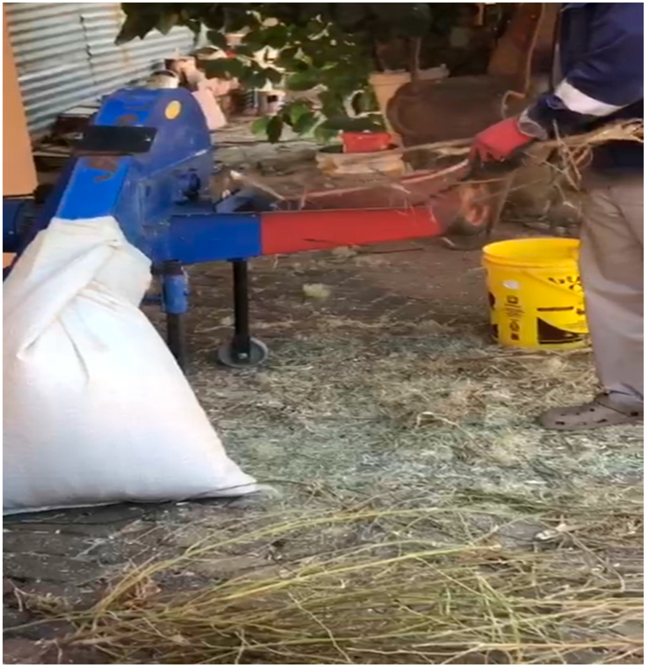 Metabolites 14 00712 g004