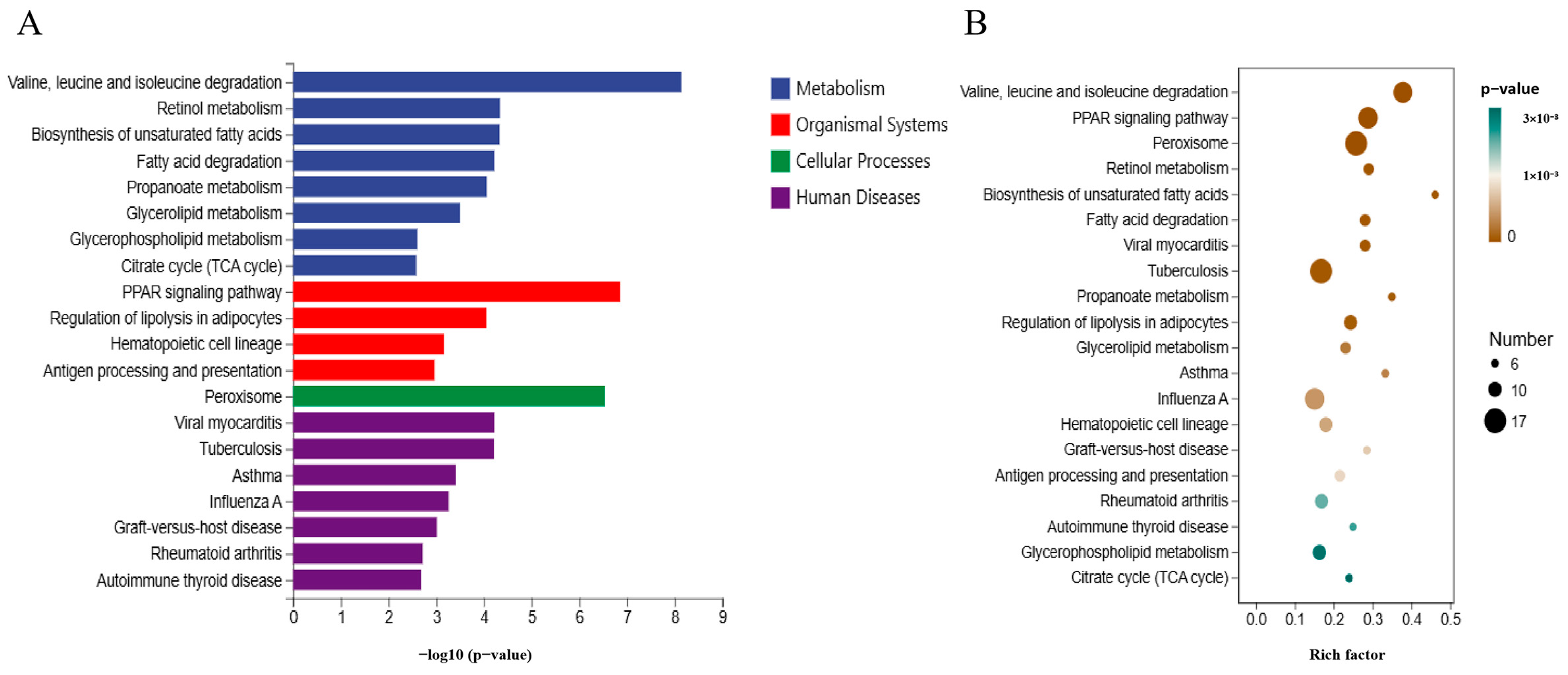 Metabolites 15 00071 g005