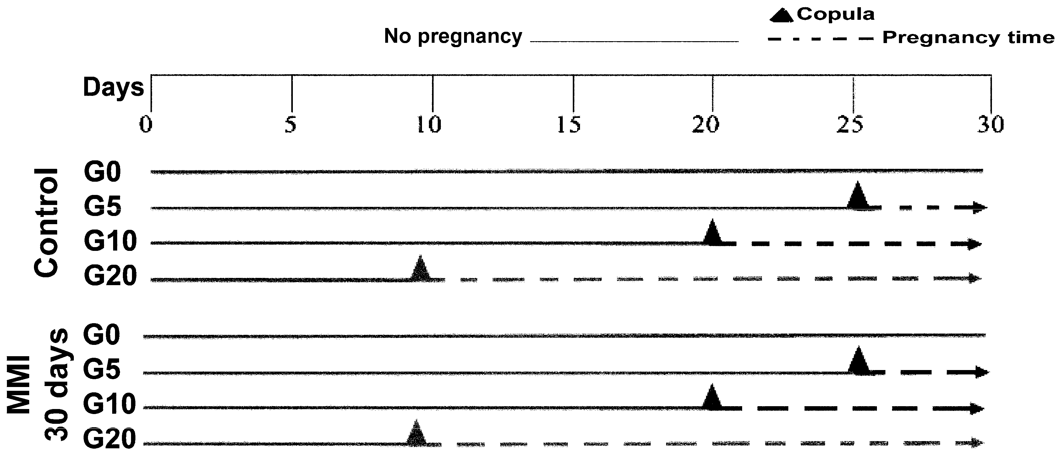 Metabolites 15 00082 g001
