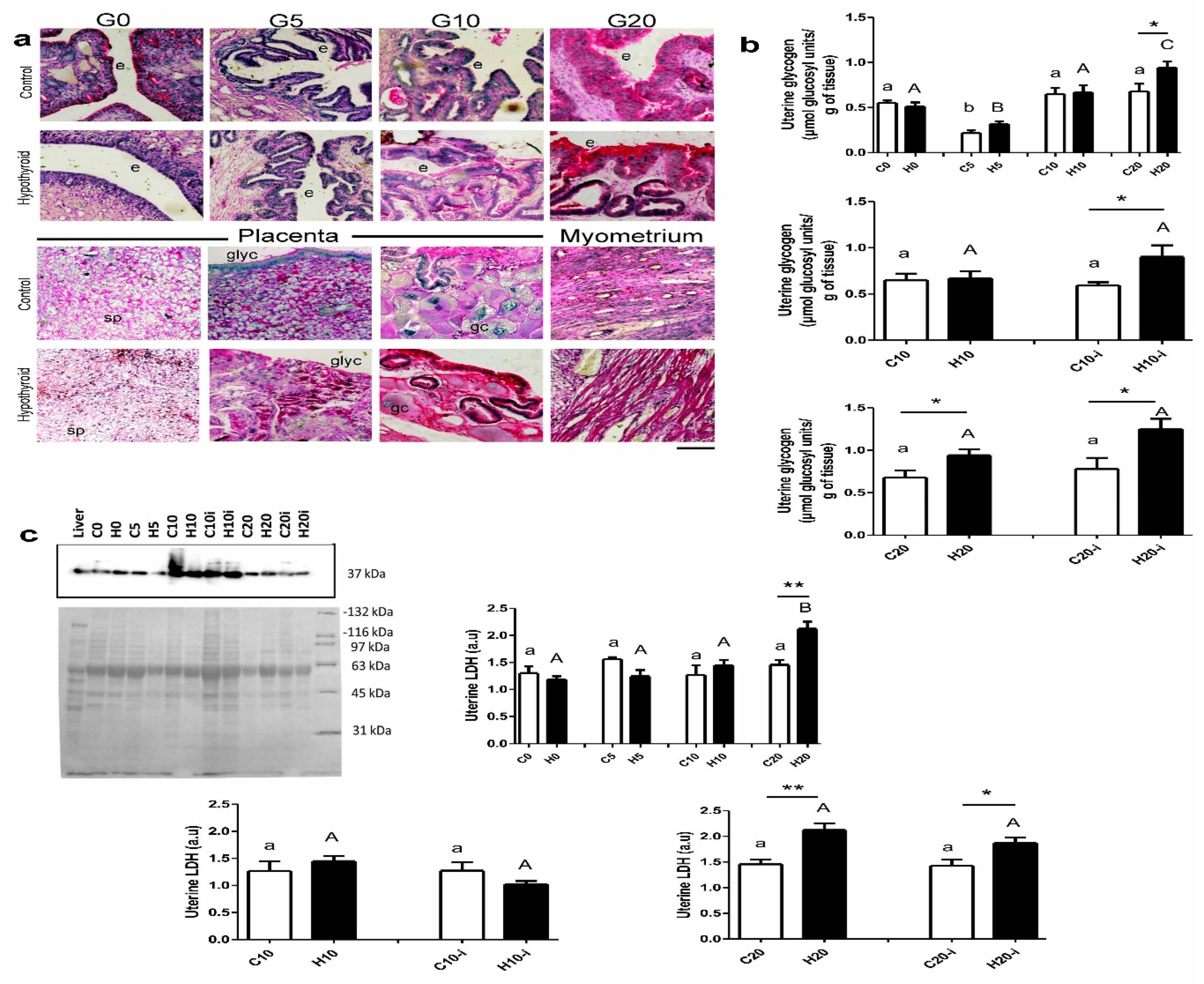 Metabolites 15 00082 g003