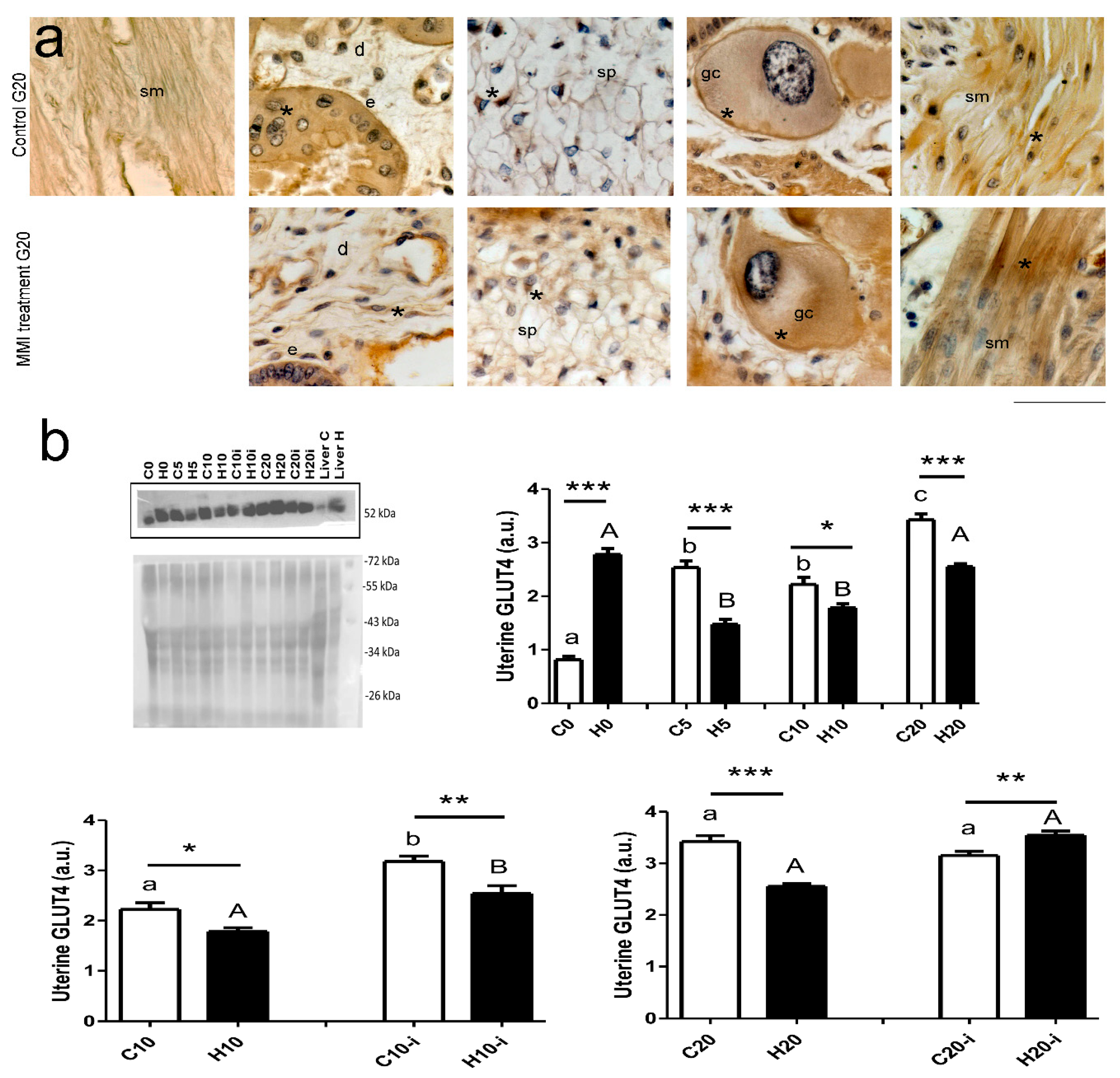 Metabolites 15 00082 g004