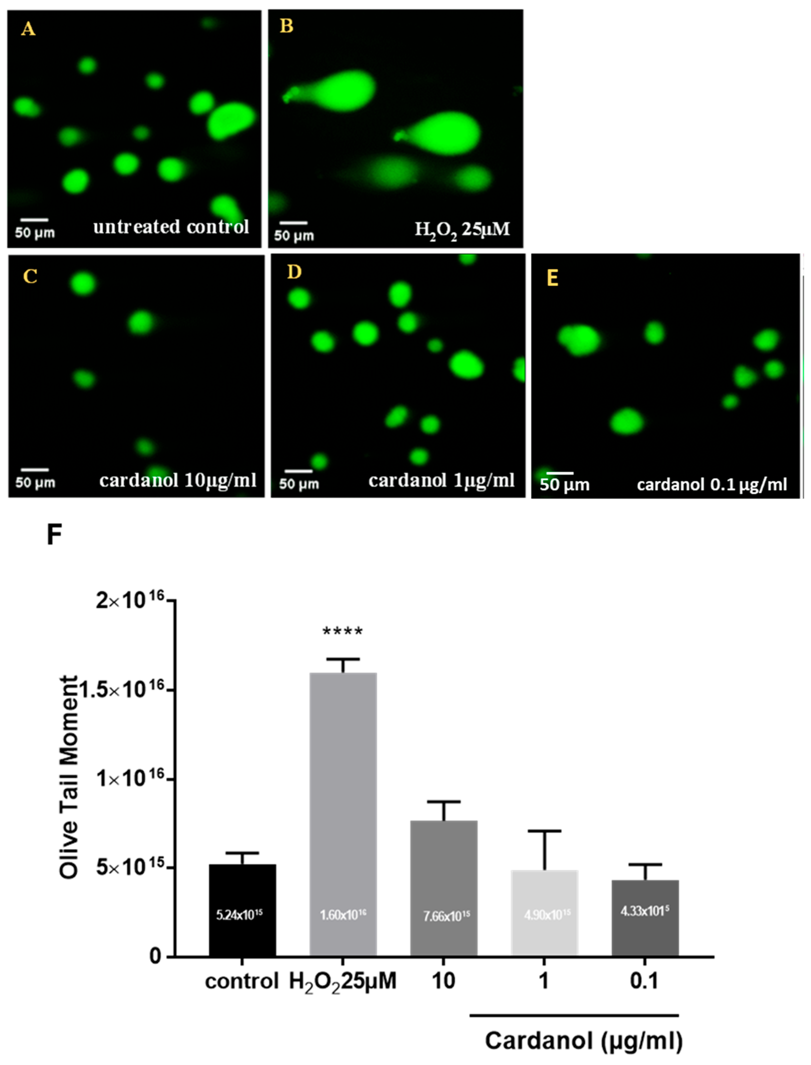 Metabolites 15 00083 g004 Metabolites 15 00083 g004