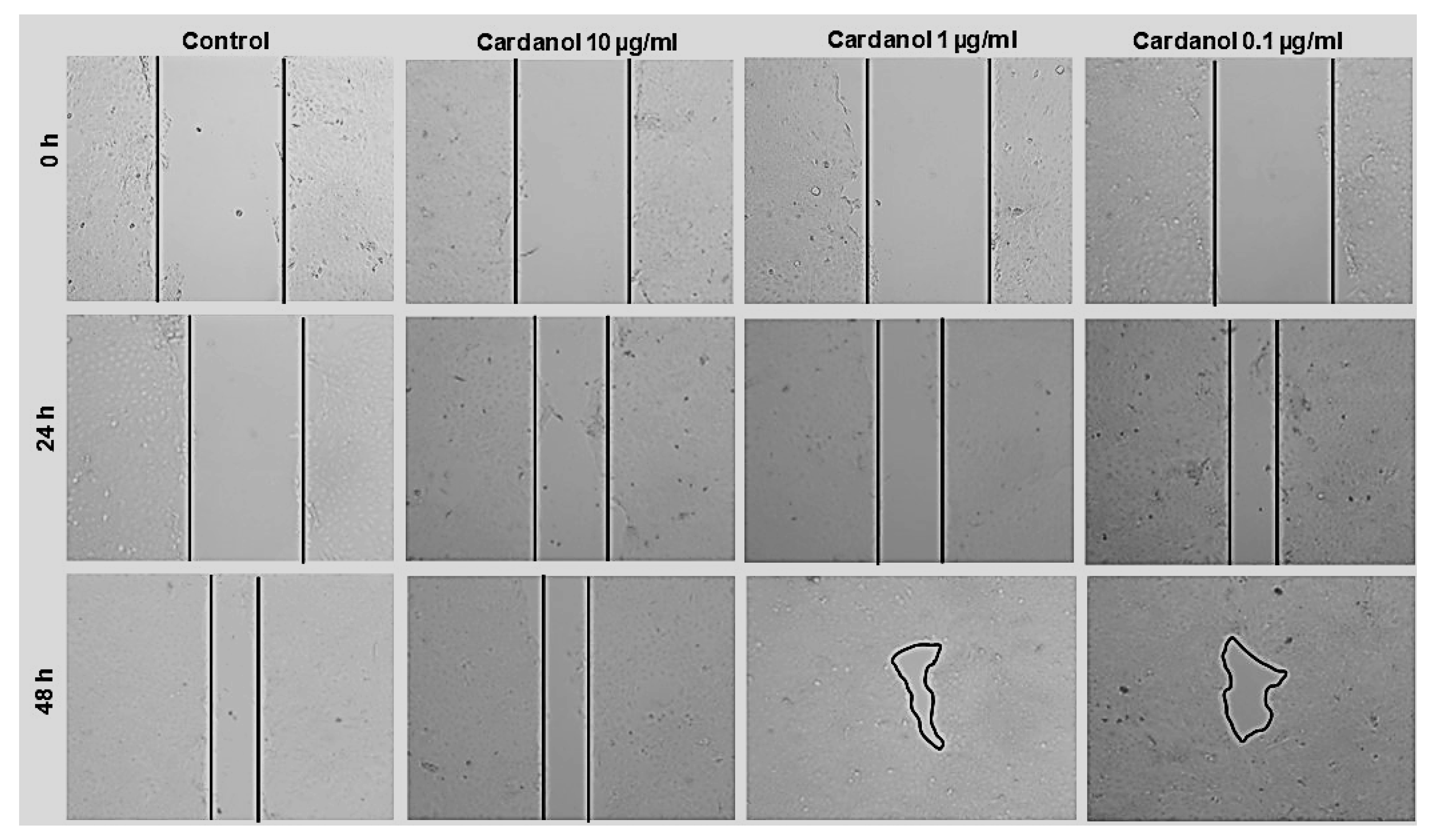 Metabolites 15 00083 g006 Metabolites 15 00083 g006