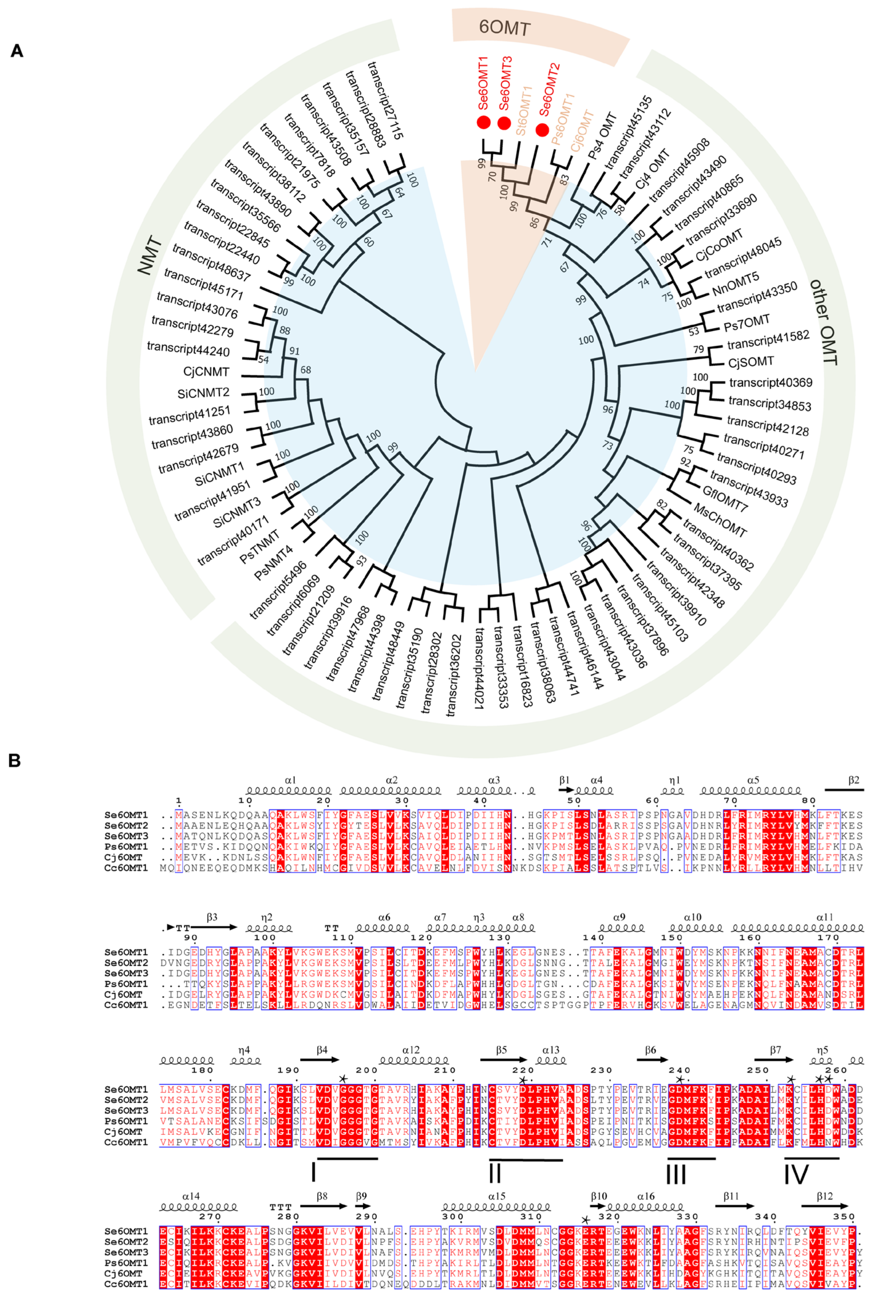 Metabolites 15 00092 g002