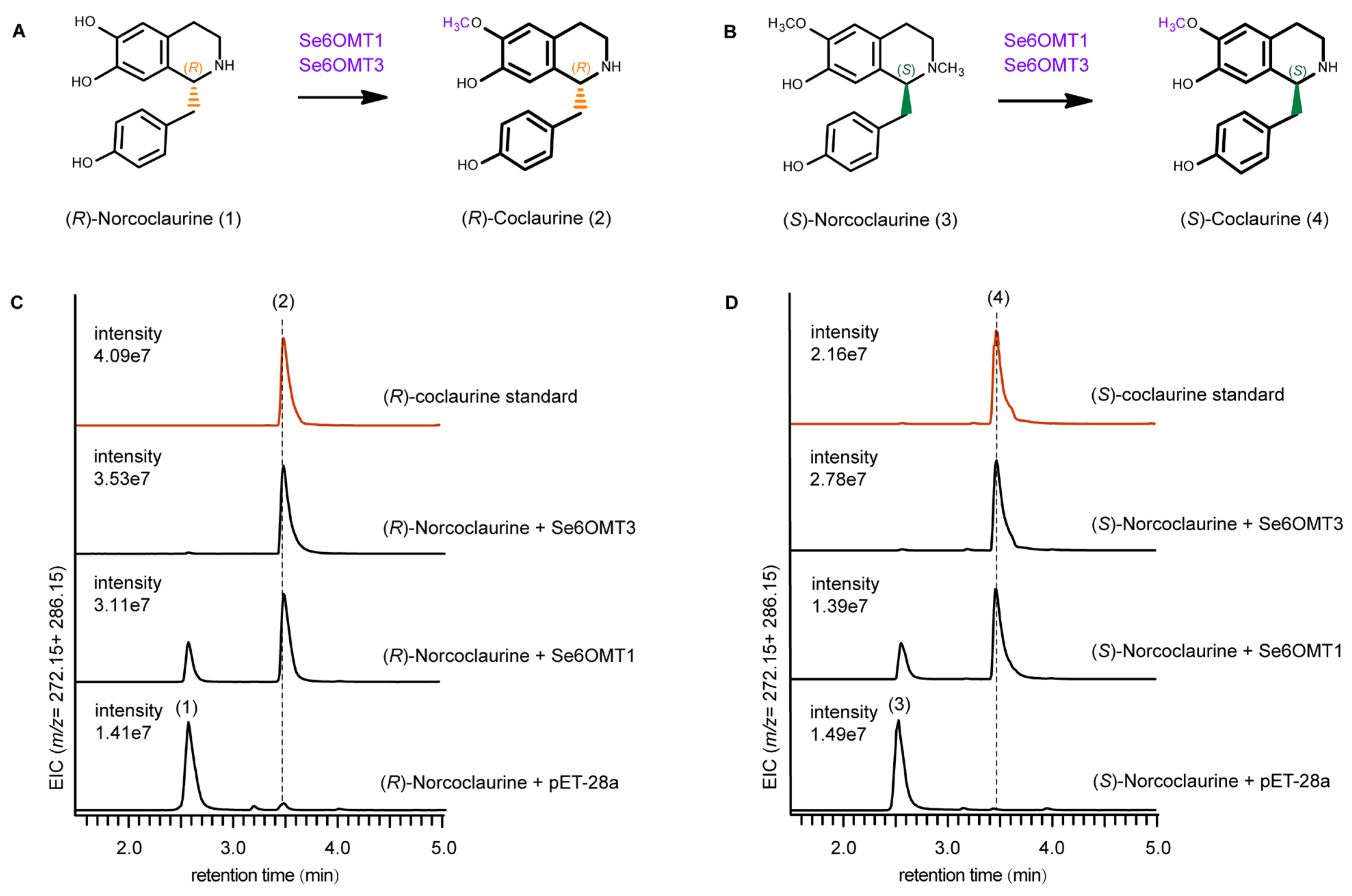 Metabolites 15 00092 g003