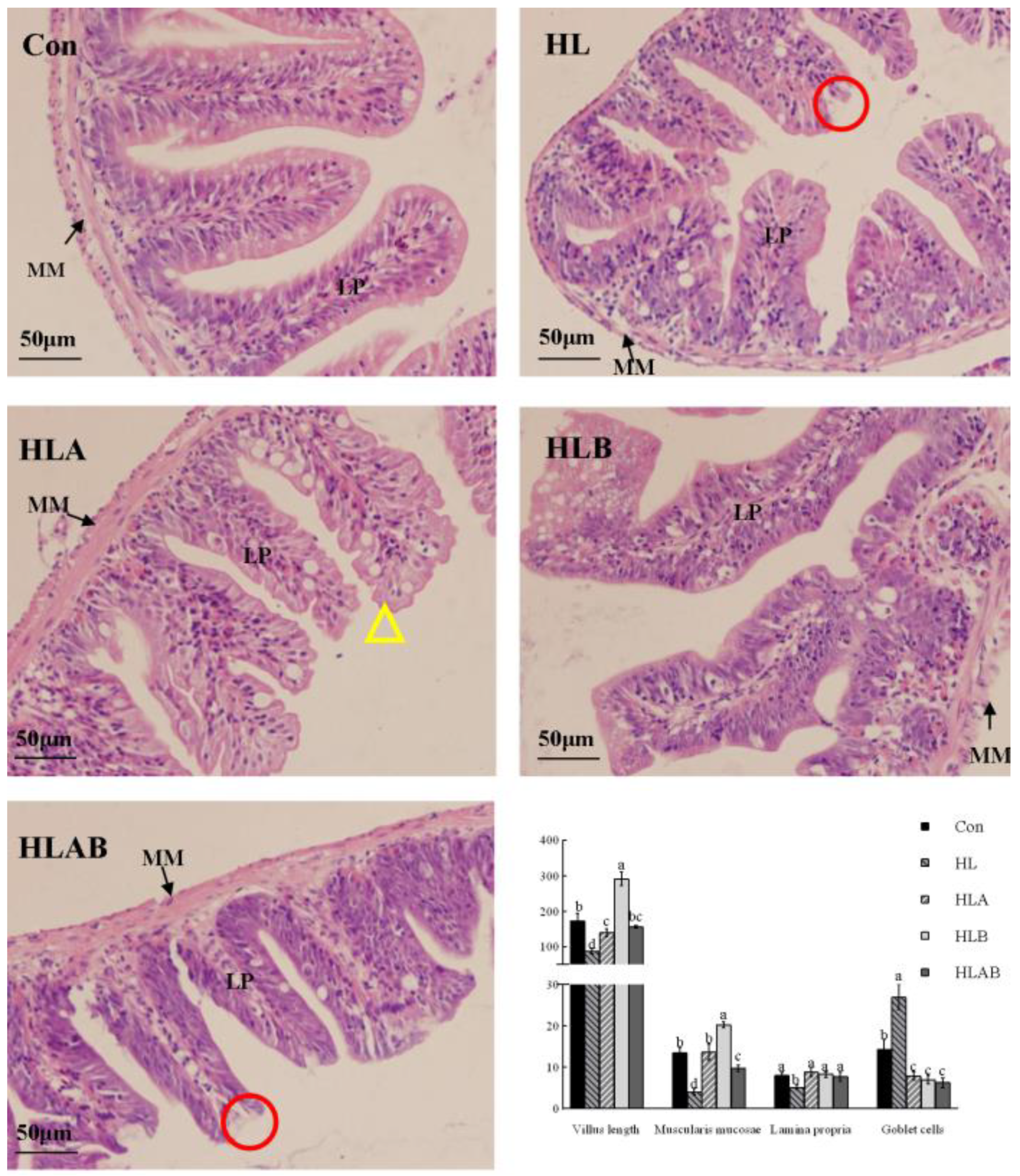 Metabolites 15 00118 g004