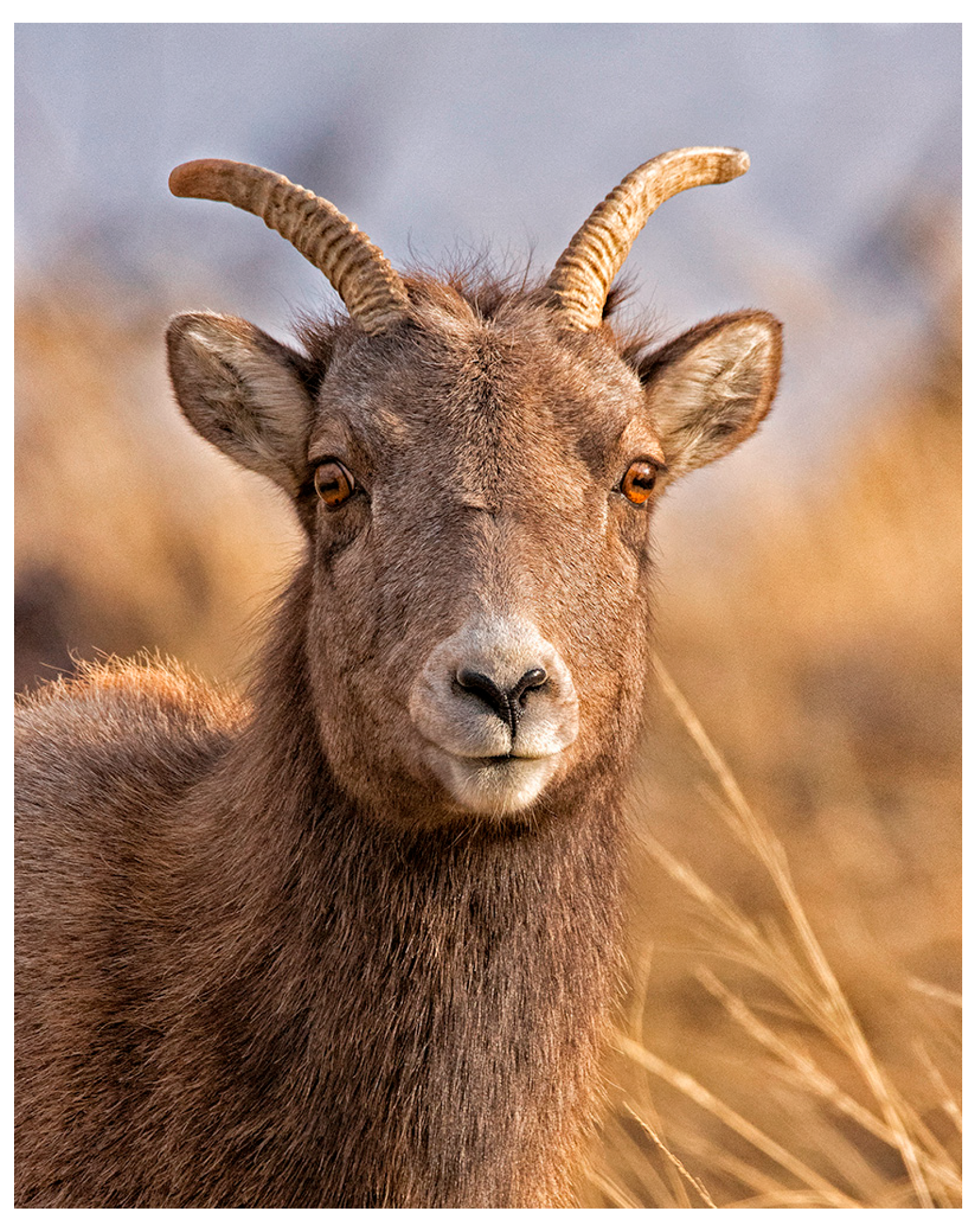 Metabolites 15 00154 g001