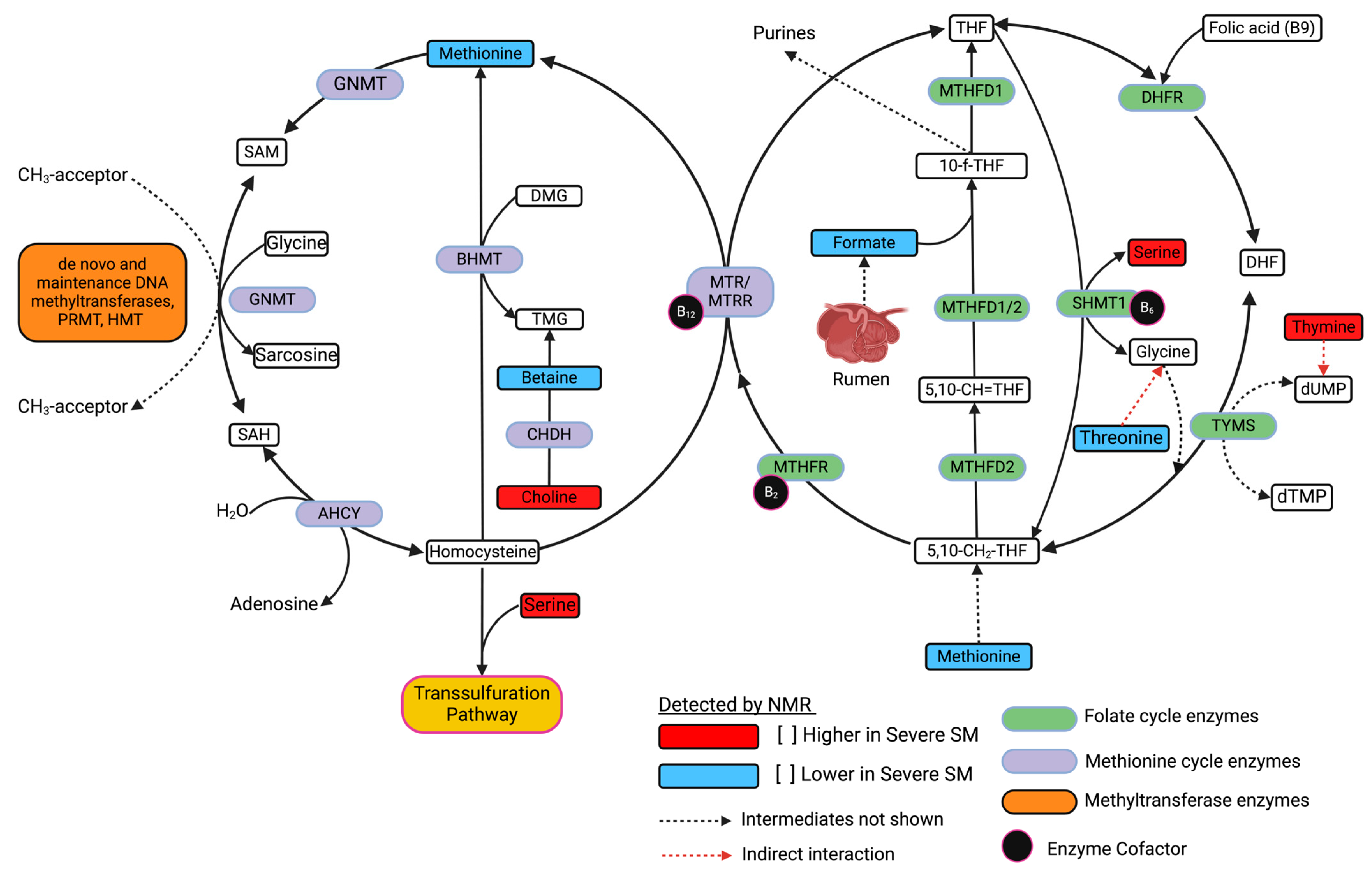 Metabolites 15 00154 g008