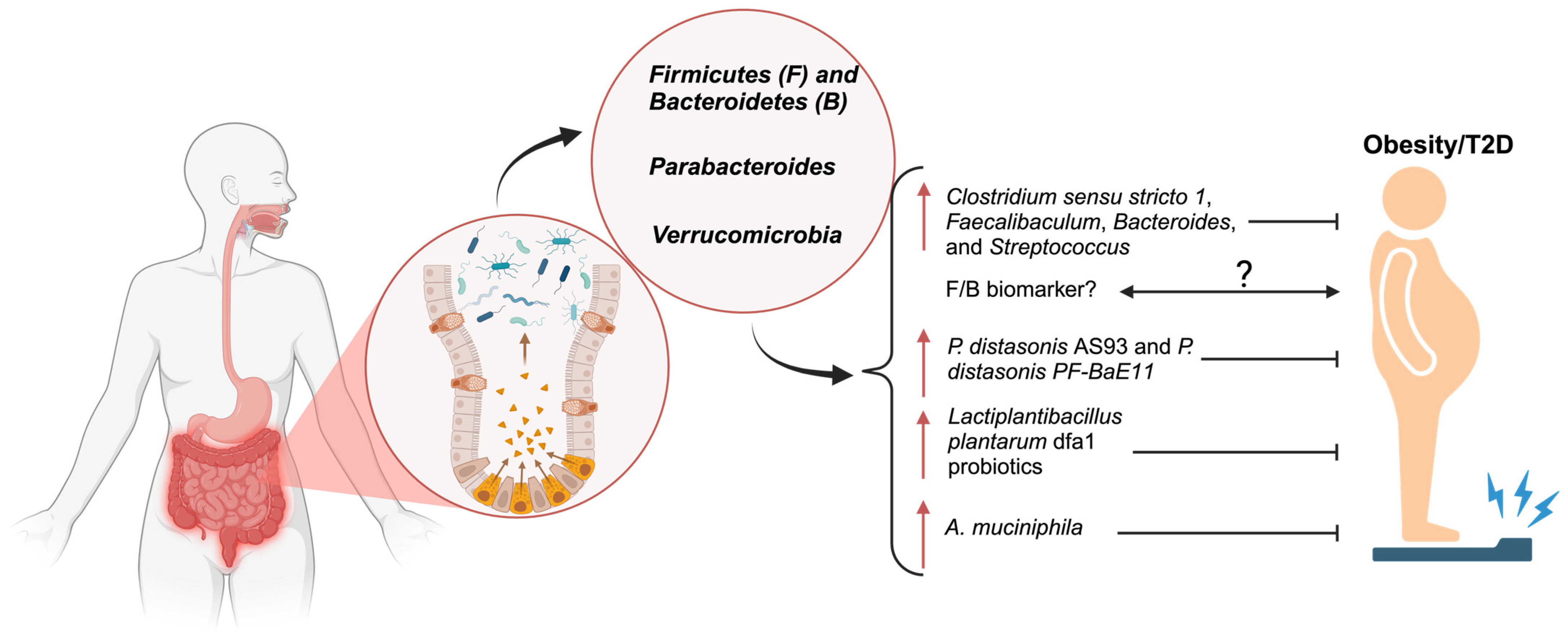 Metabolites 15 00167 g001