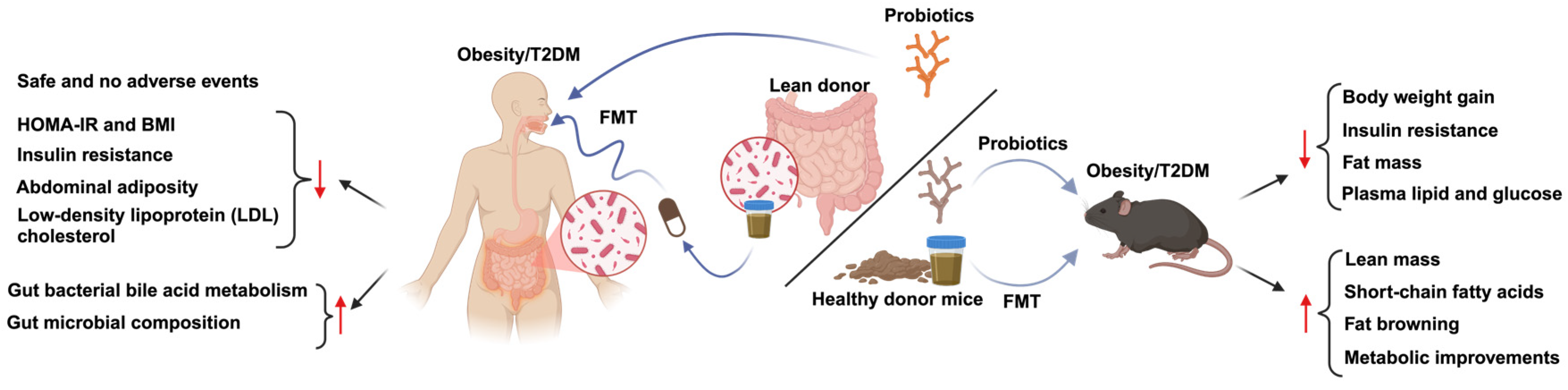 Metabolites 15 00167 g002