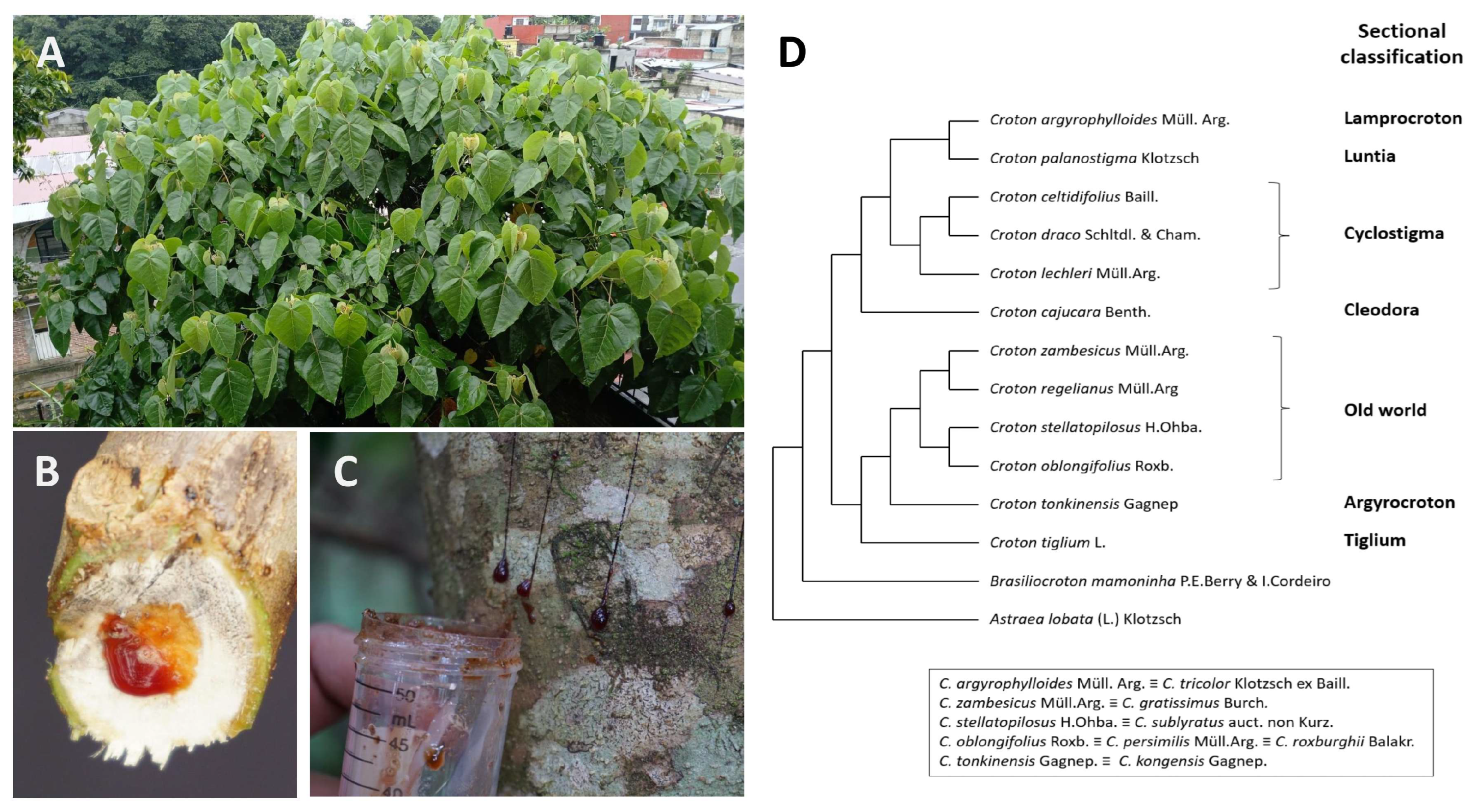 Metabolites 15 00216 g001