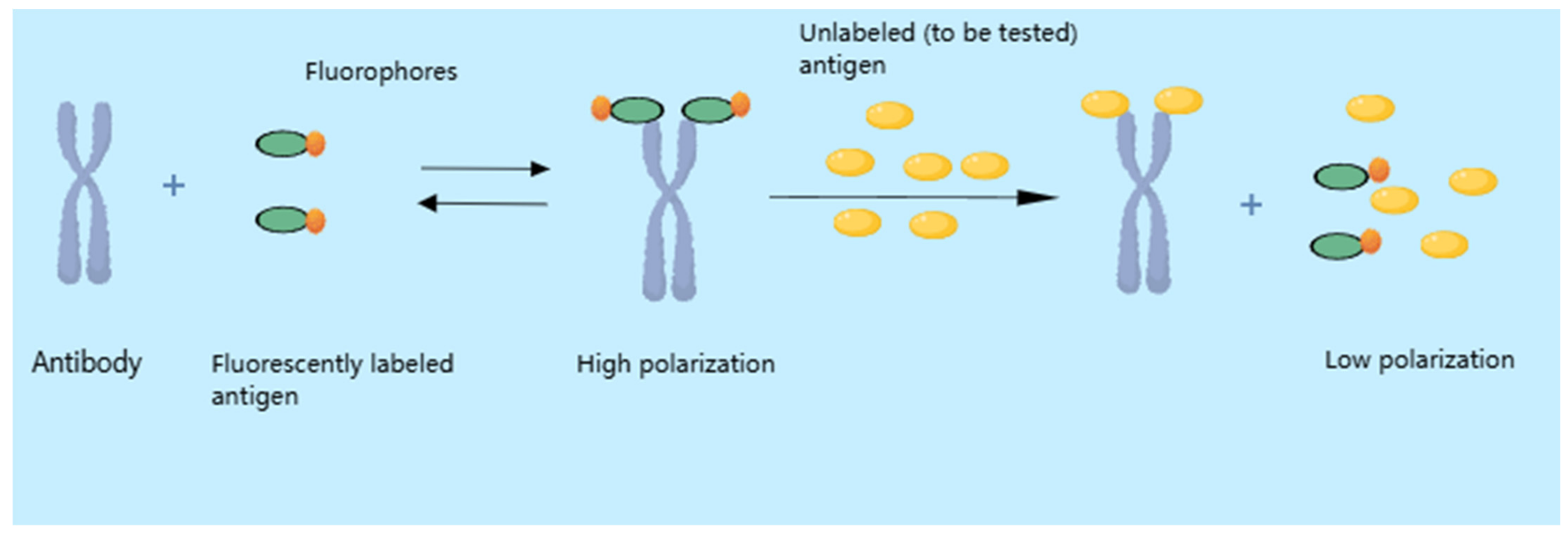 Metabolites 15 00233 g003