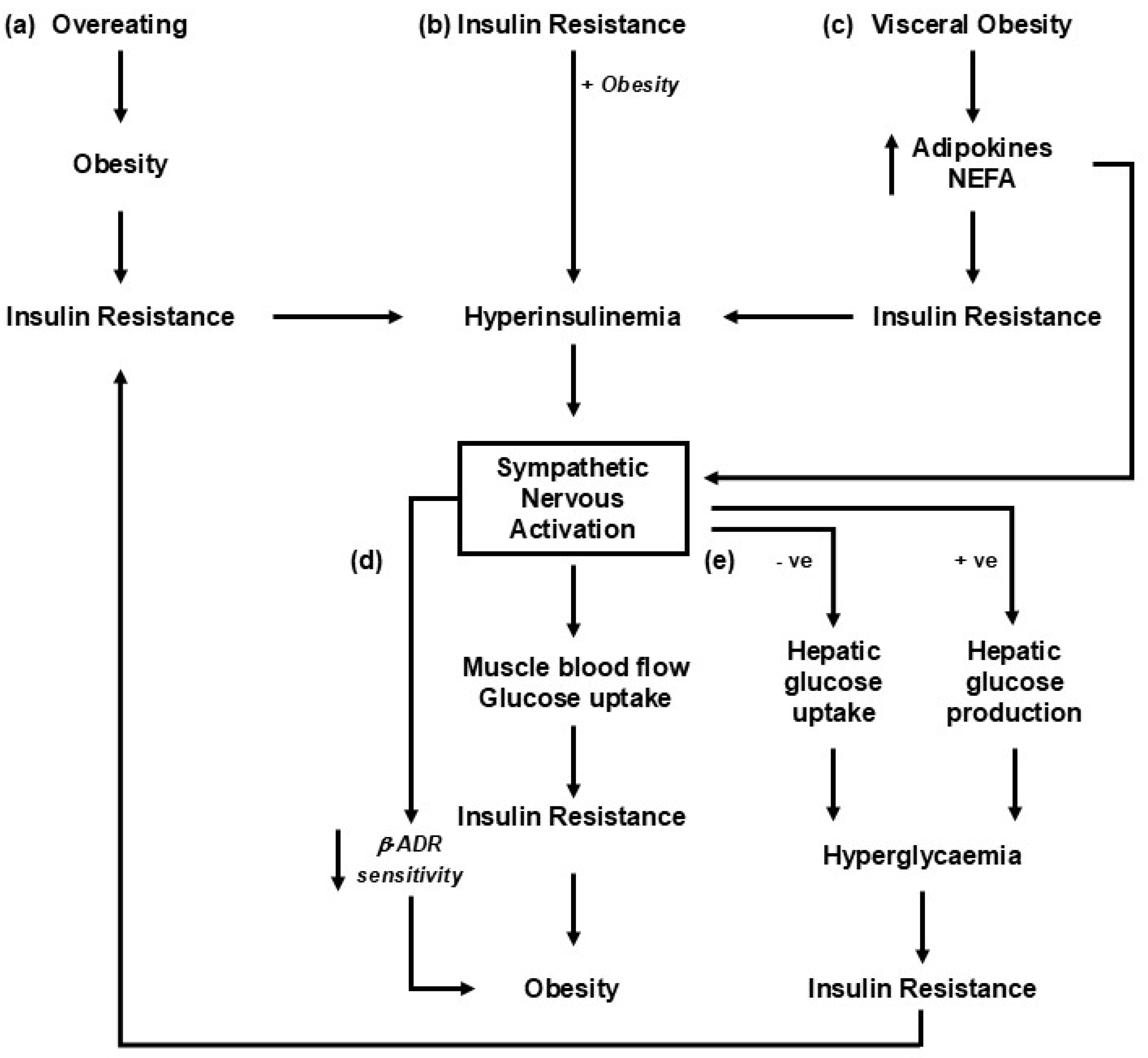Metabolites 15 00286 g001