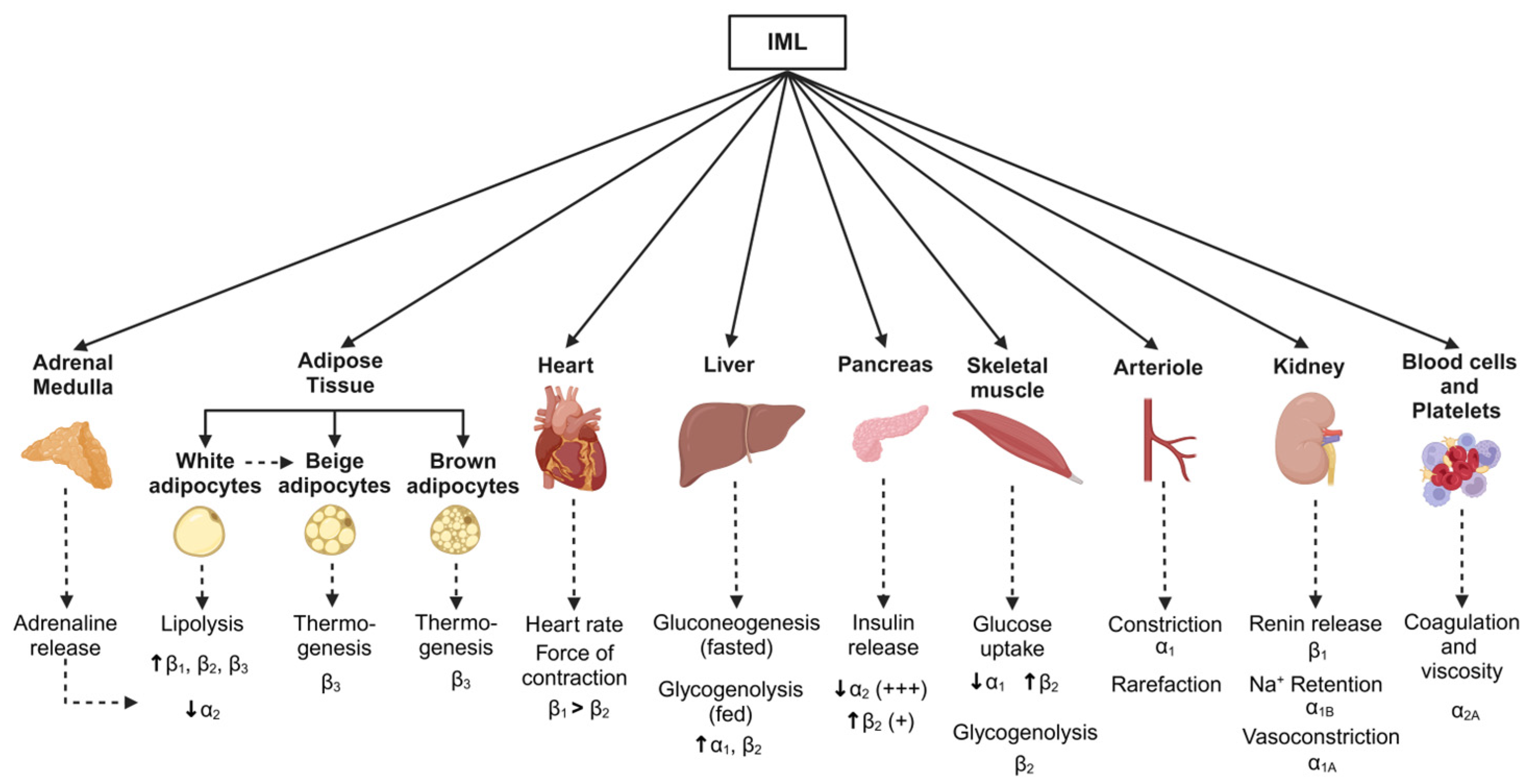 Metabolites 15 00286 g004