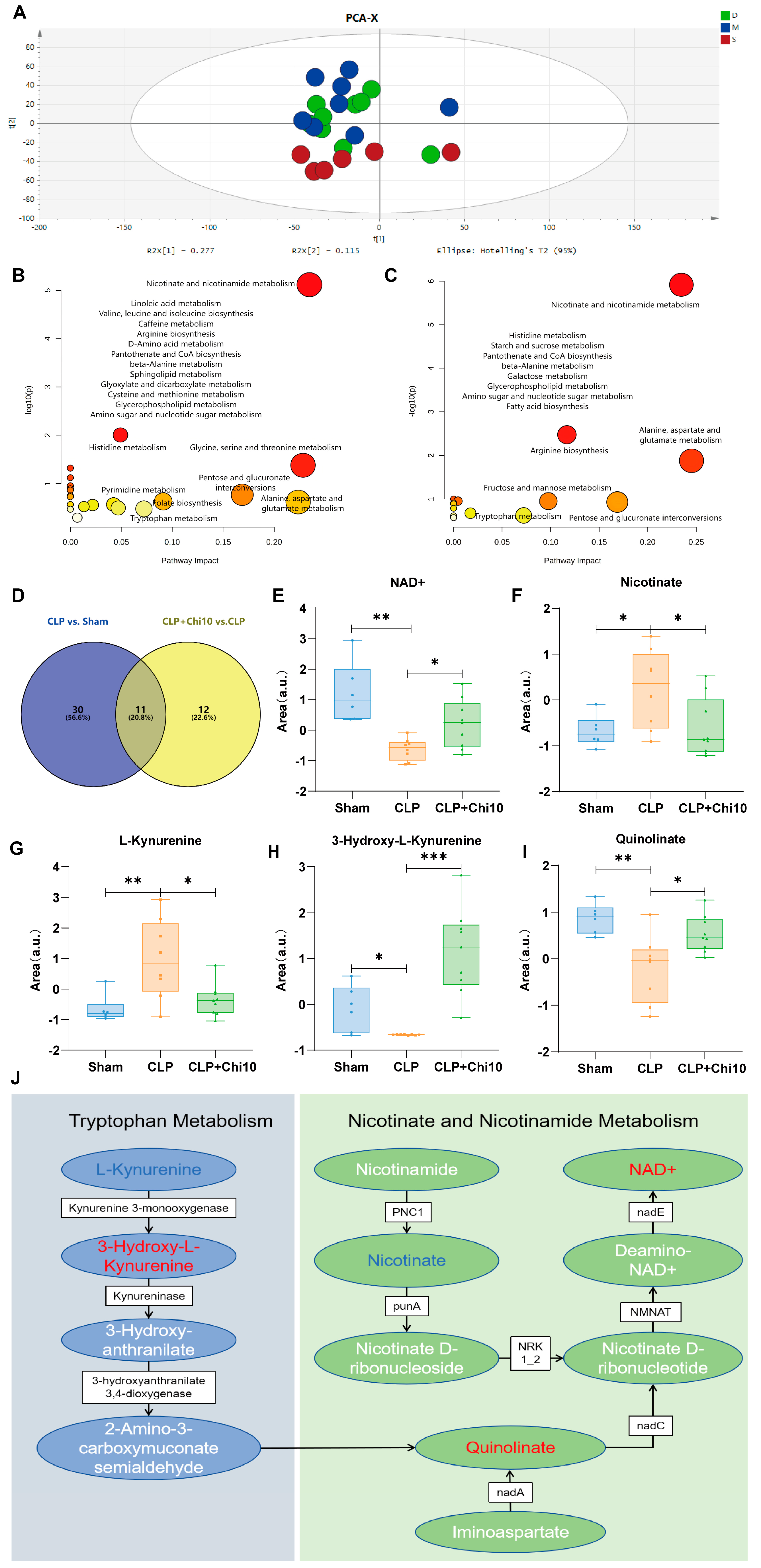 Metabolites 15 00290 g004