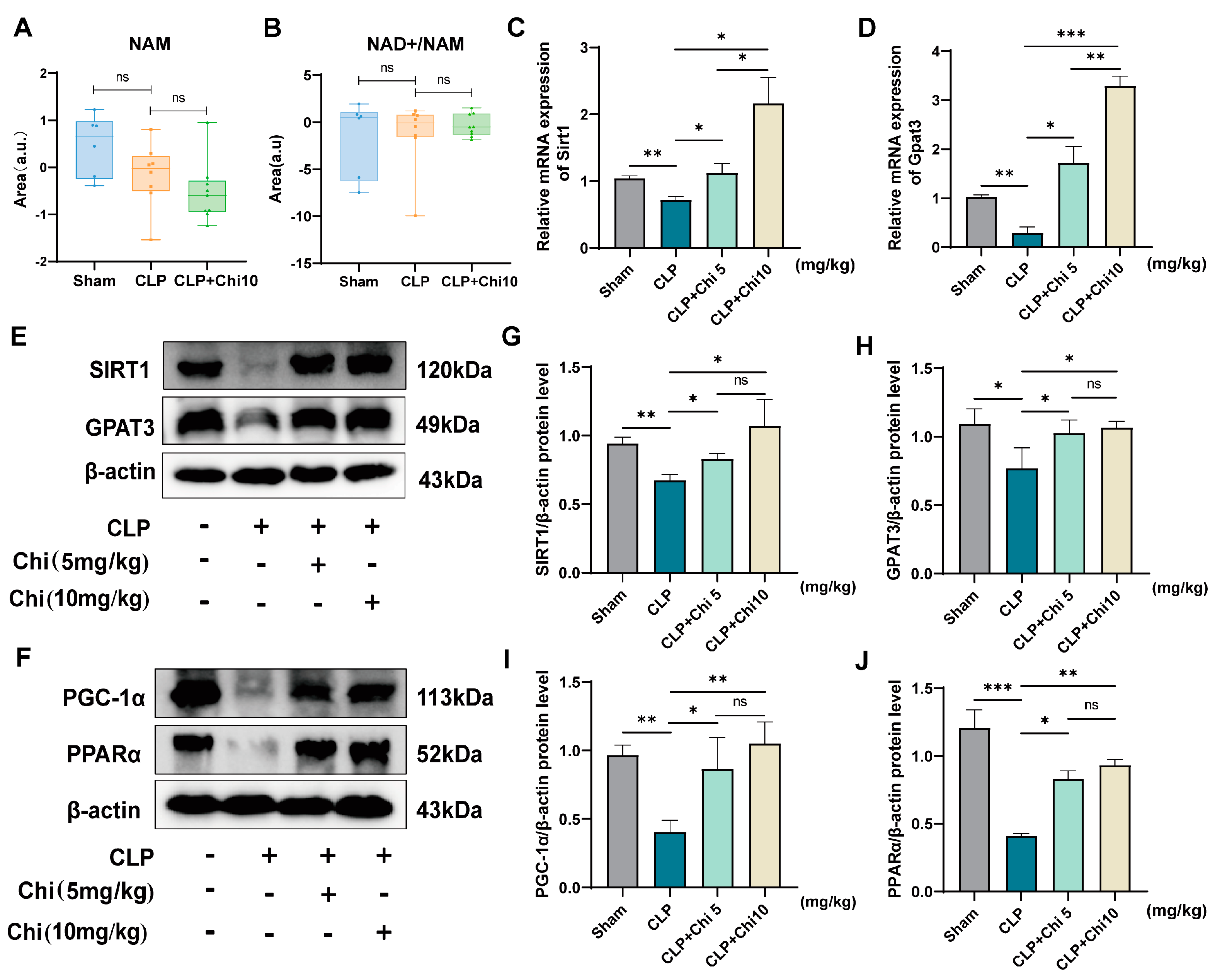 Metabolites 15 00290 g006