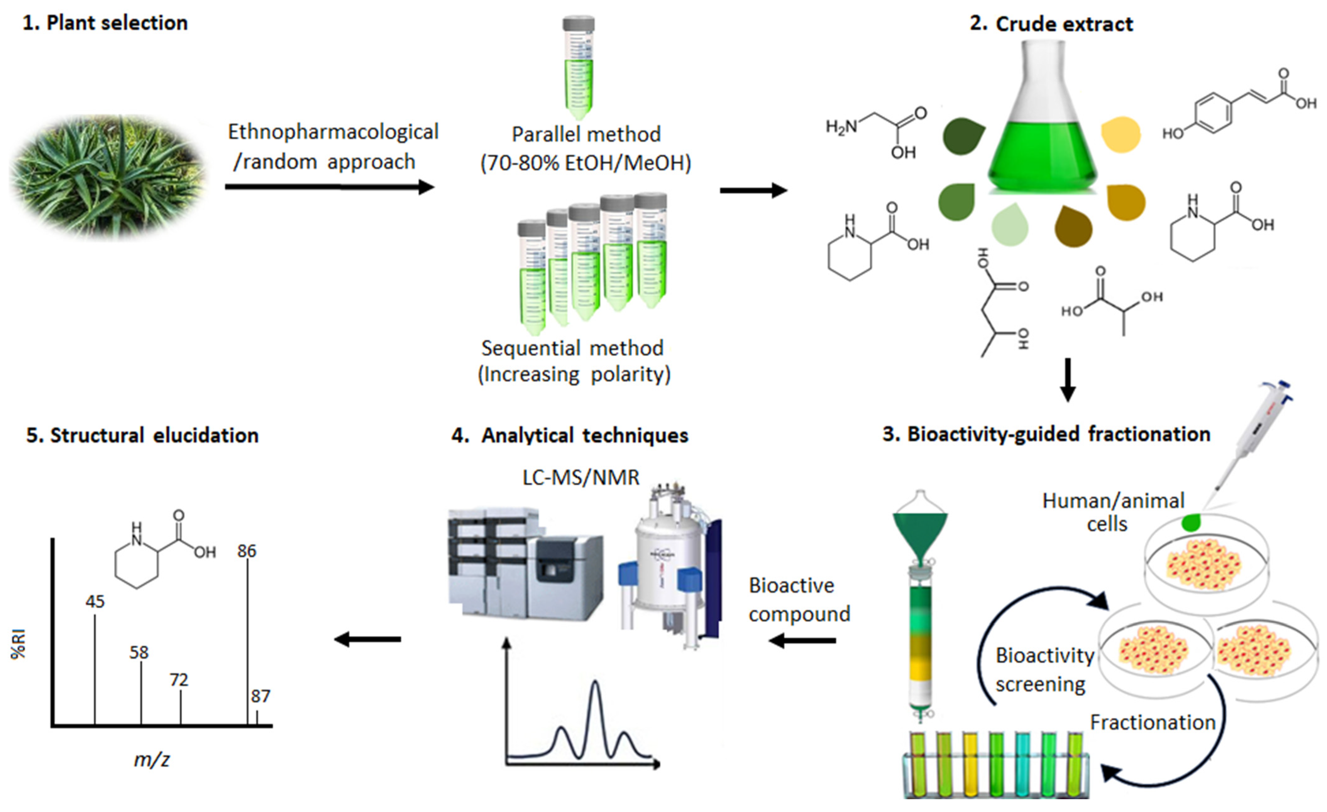 Metabolites 15 00362 g001