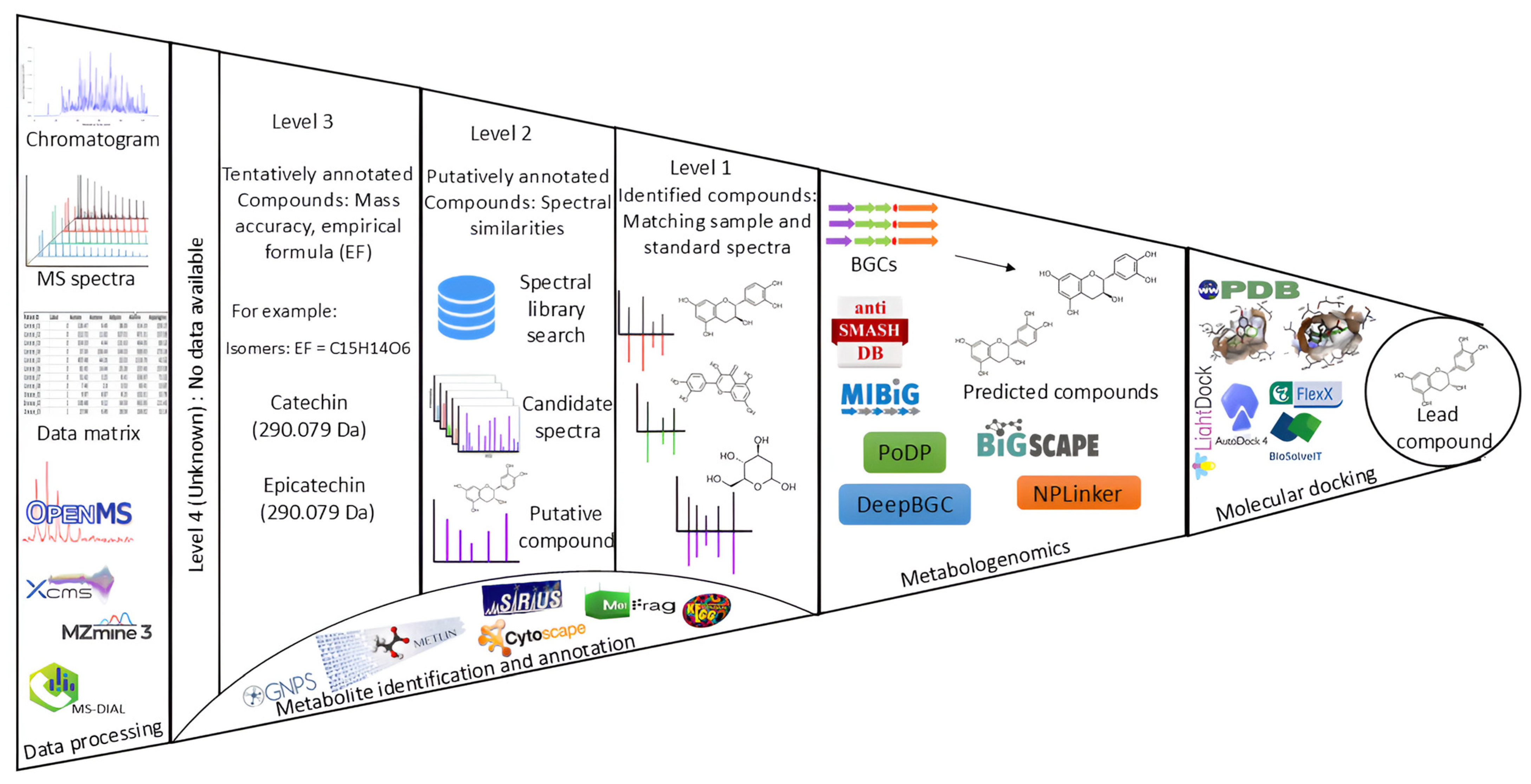 Metabolites 15 00362 g003