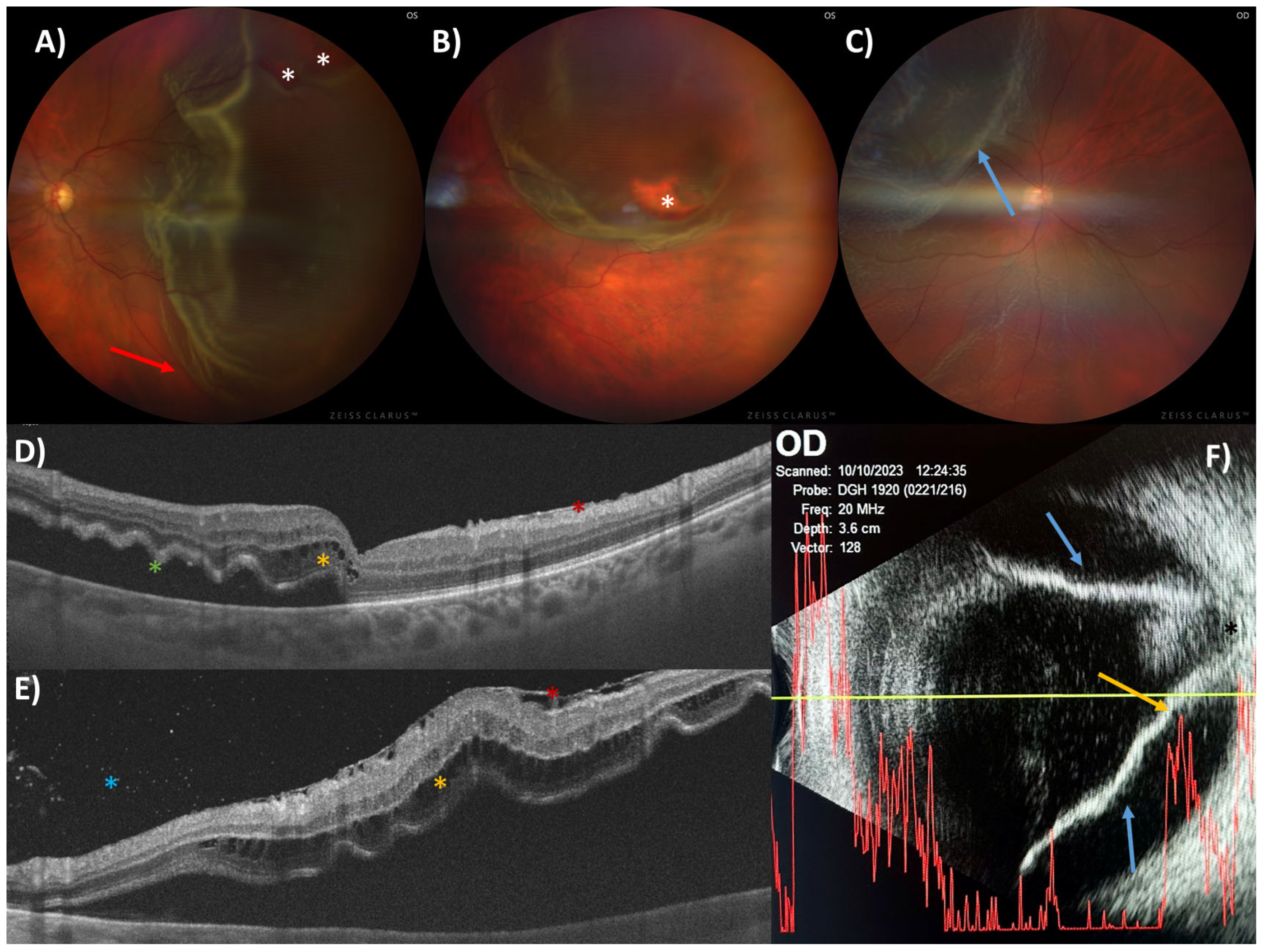 Metabolites 15 00442 g001 Metabolites 15 00442 g001