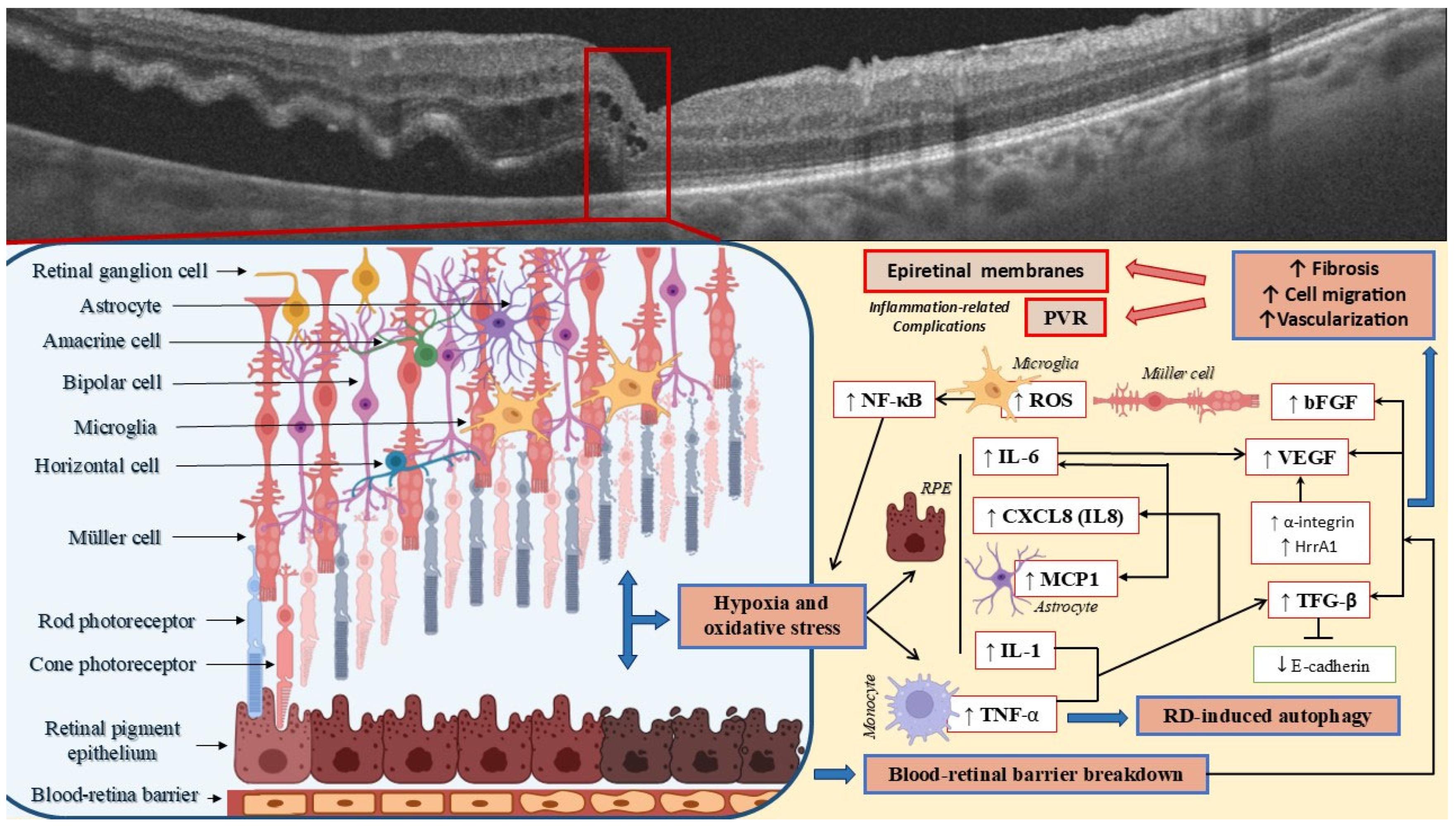 Metabolites 15 00442 g002 Metabolites 15 00442 g002