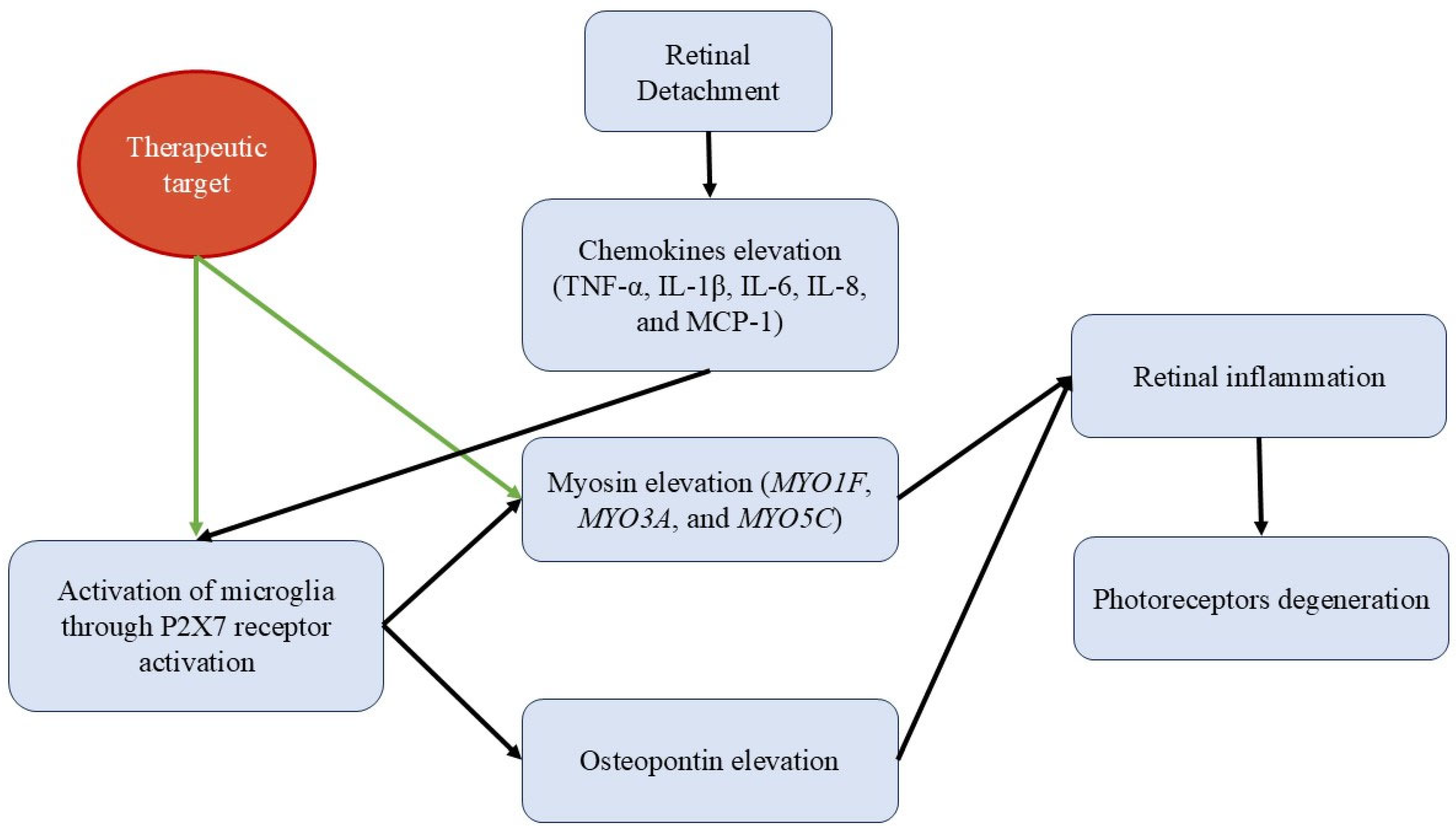 Metabolites 15 00442 g003 Metabolites 15 00442 g003