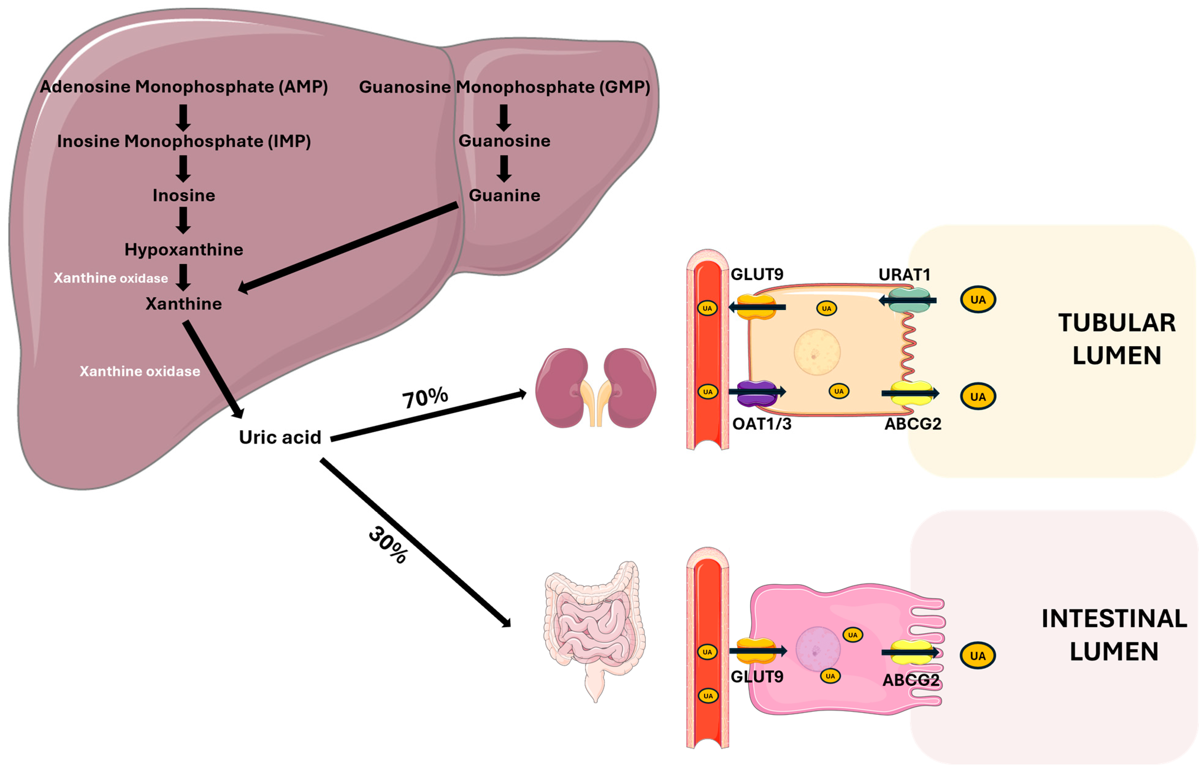 Metabolites 15 00444 g001