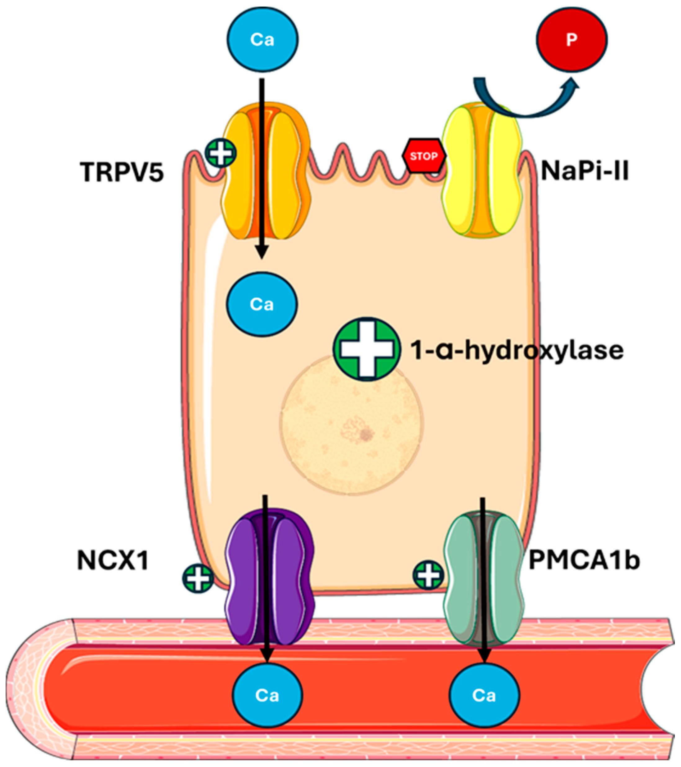 Metabolites 15 00444 g002