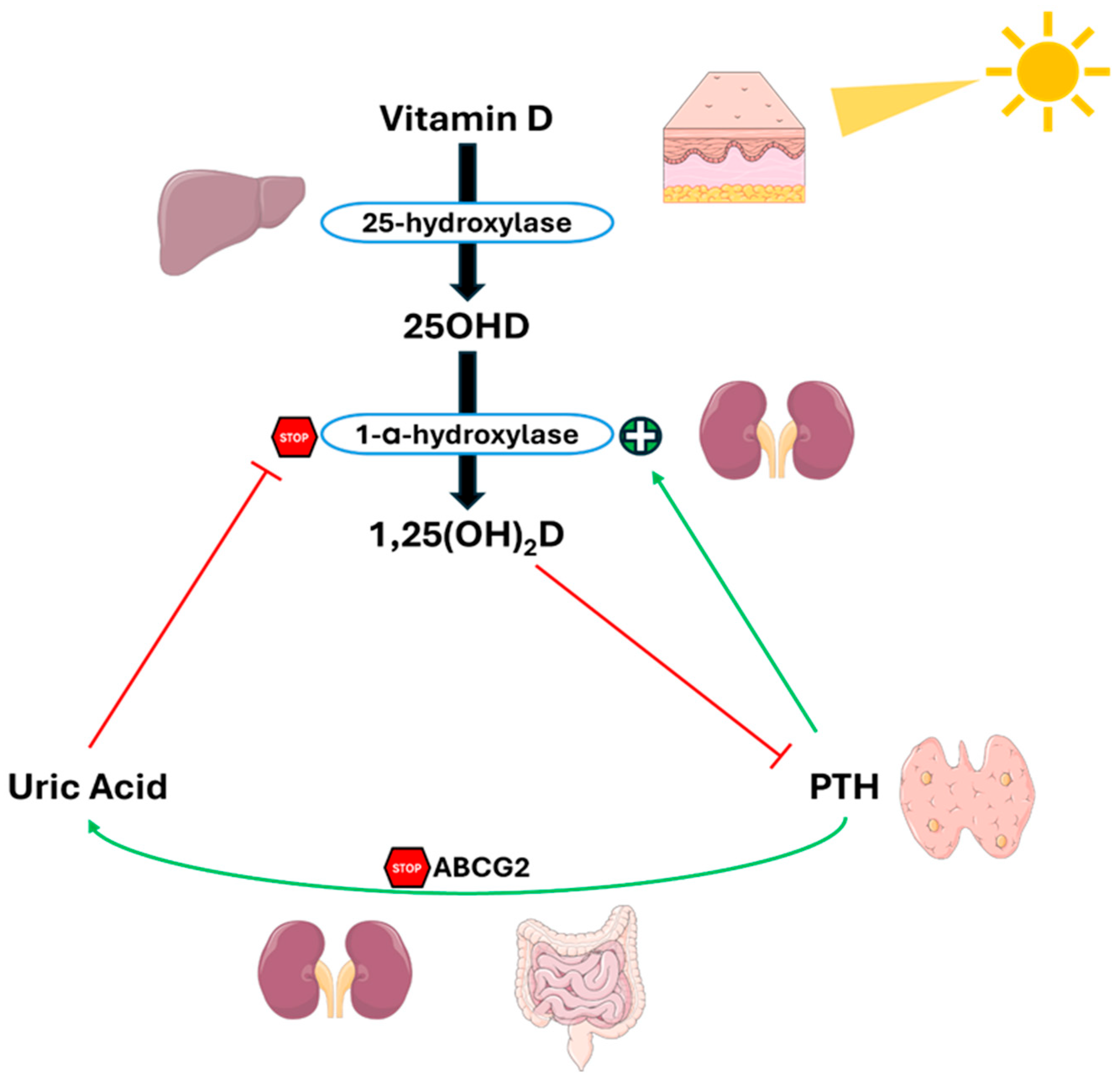 Metabolites 15 00444 g005