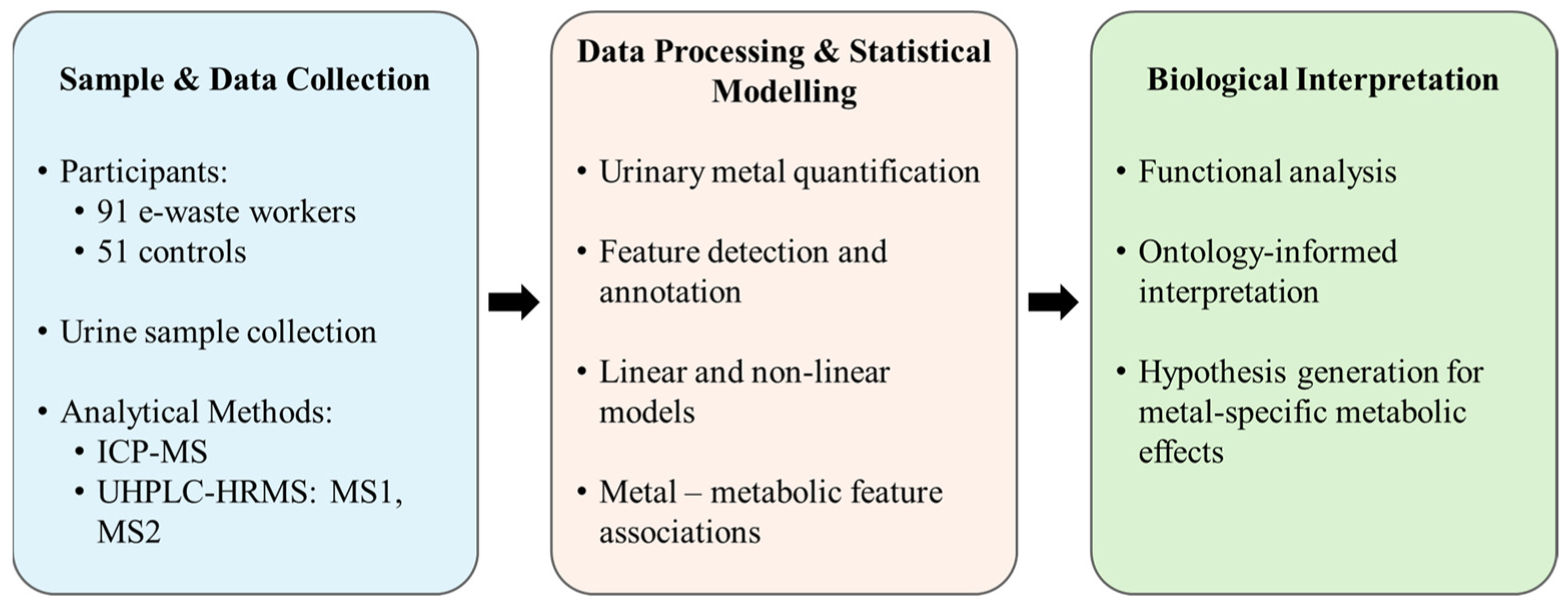 Metabolites 15 00456 g001