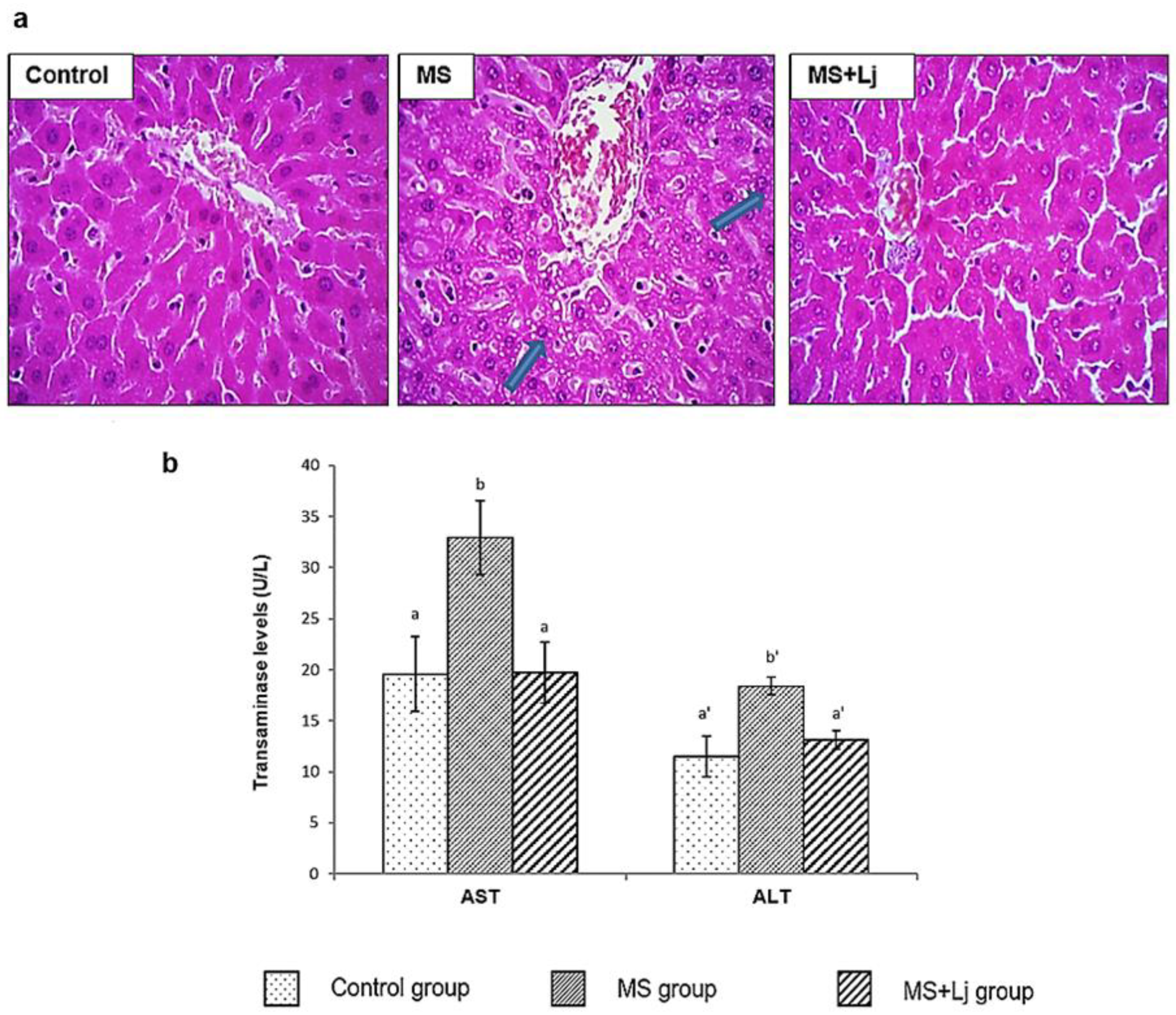 Metabolites 15 00466 g004