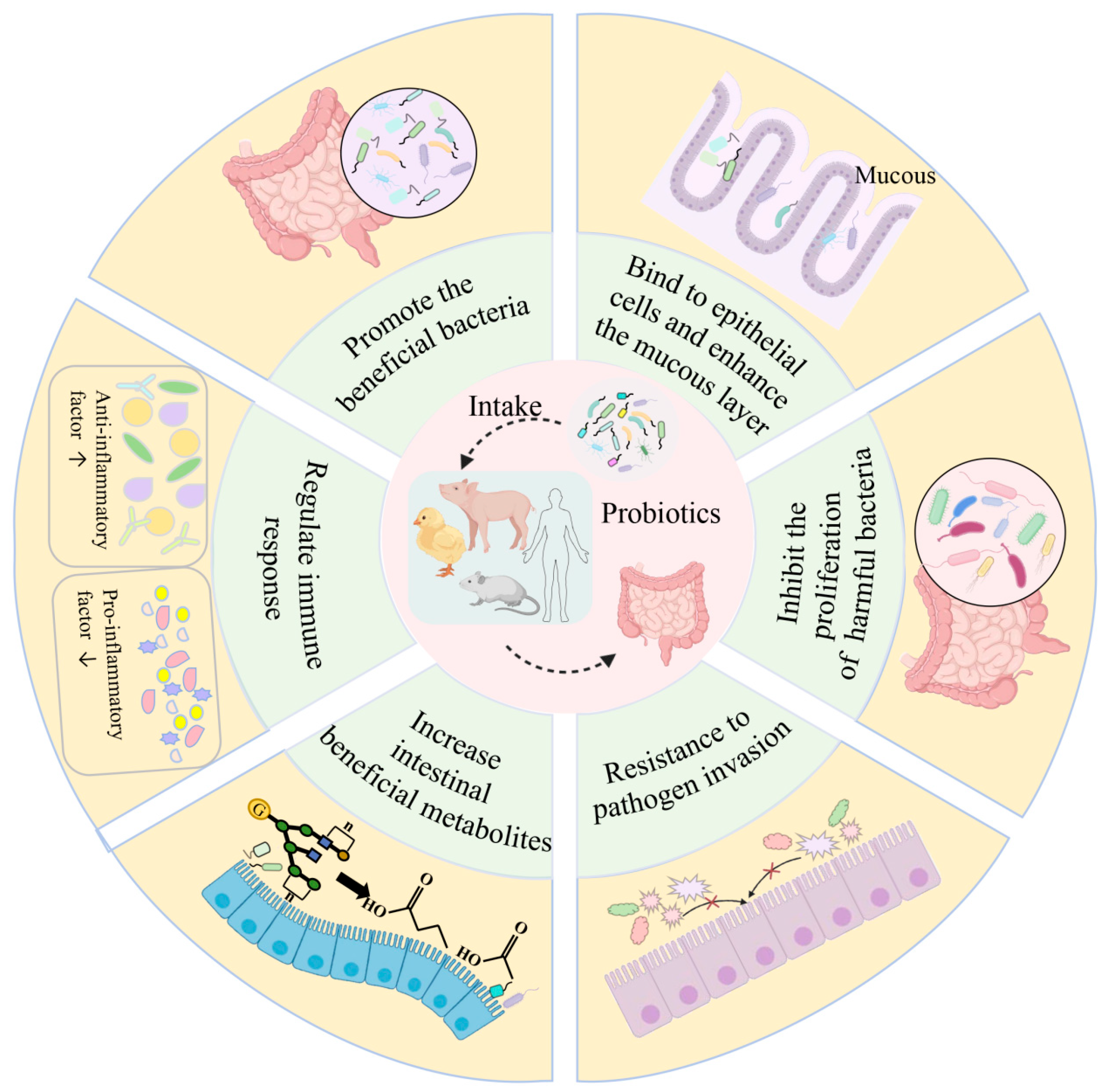 Metabolites 15 00478 g001