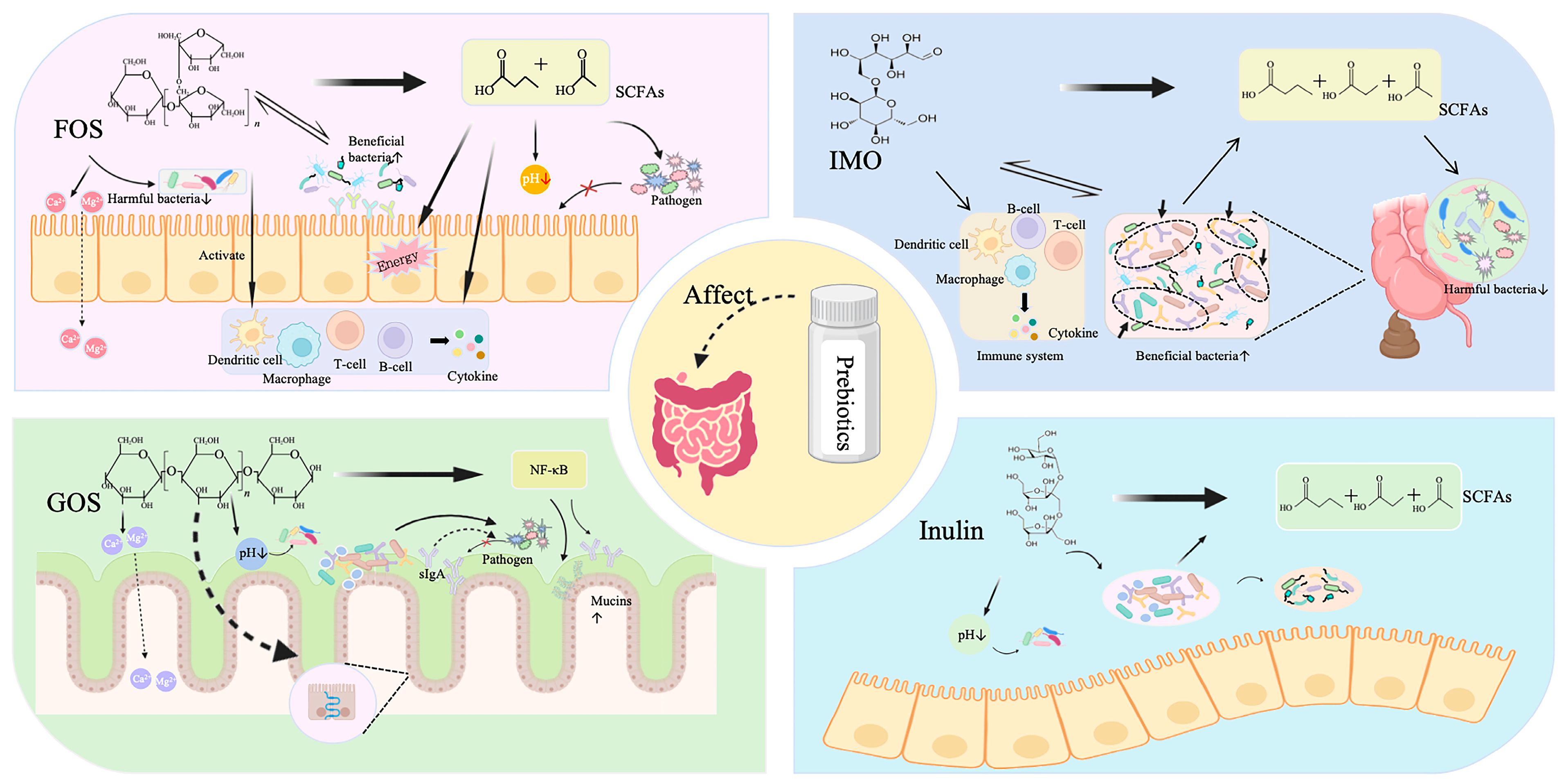 Metabolites 15 00478 g002