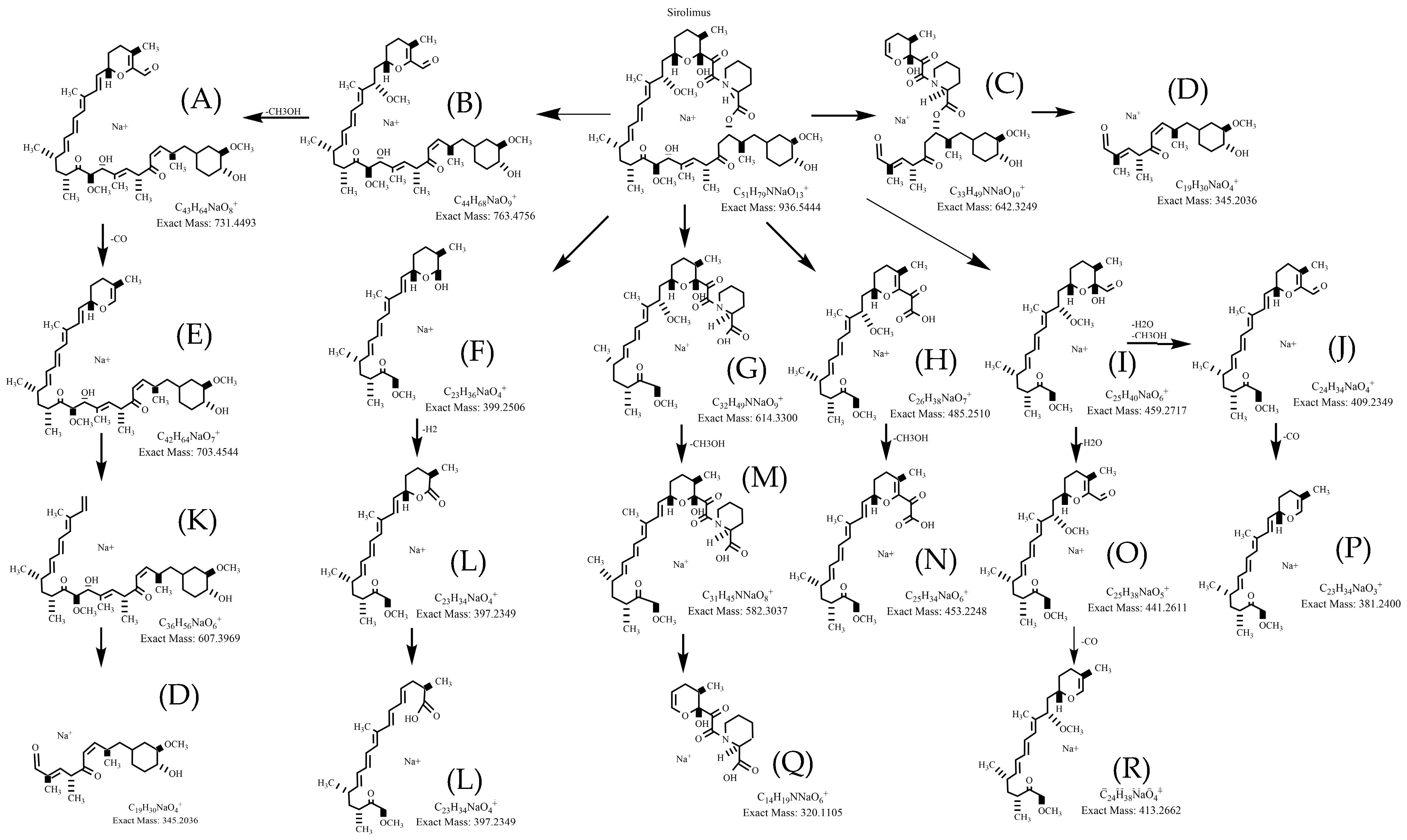 Metabolites 15 00489 g003 Metabolites 15 00489 g003