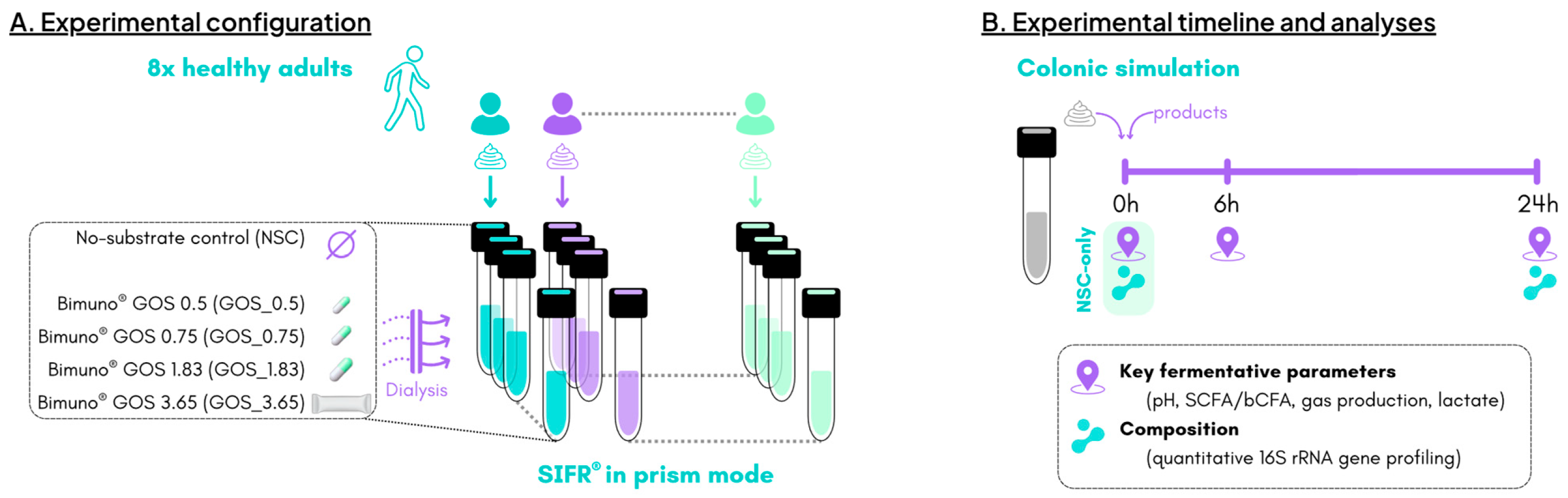 Metabolites 15 00530 g001 Metabolites 15 00530 g001