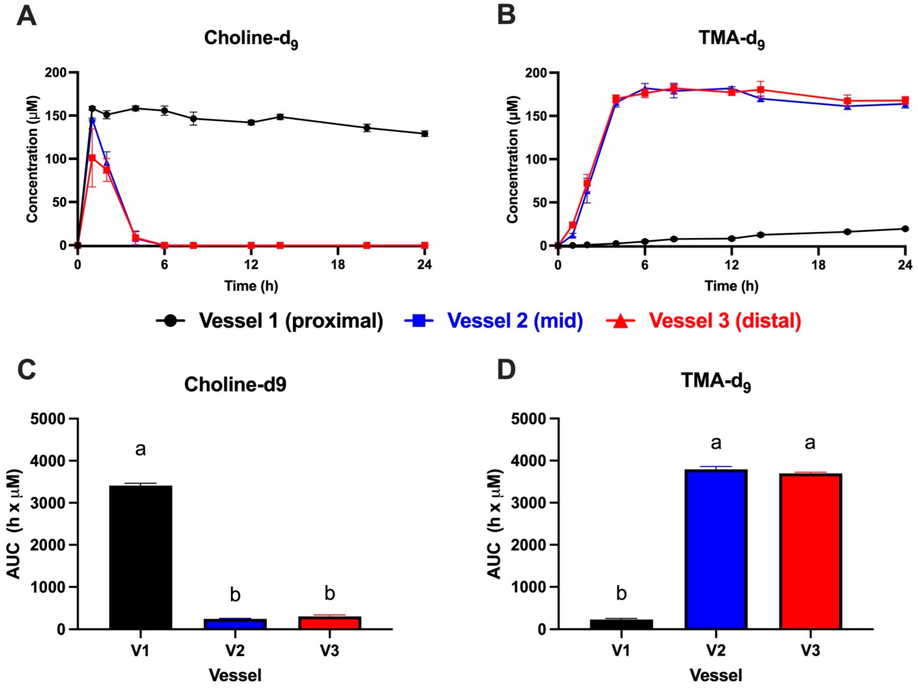 Metabolites 15 00552 g002 Metabolites 15 00552 g002