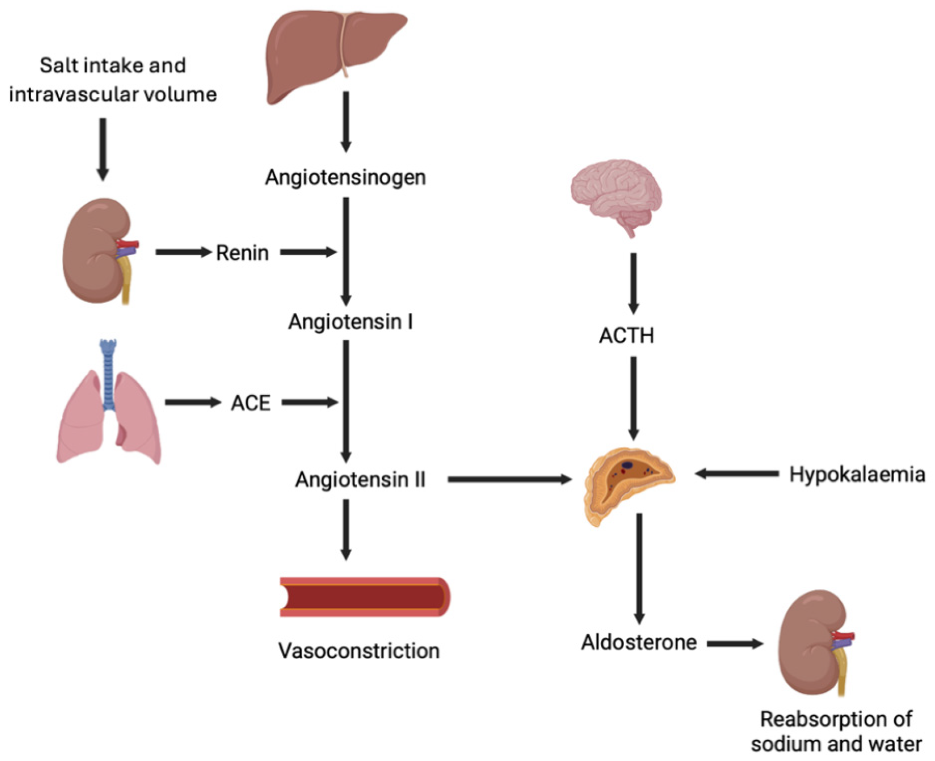 Metabolites 15 00553 g001 Metabolites 15 00553 g001