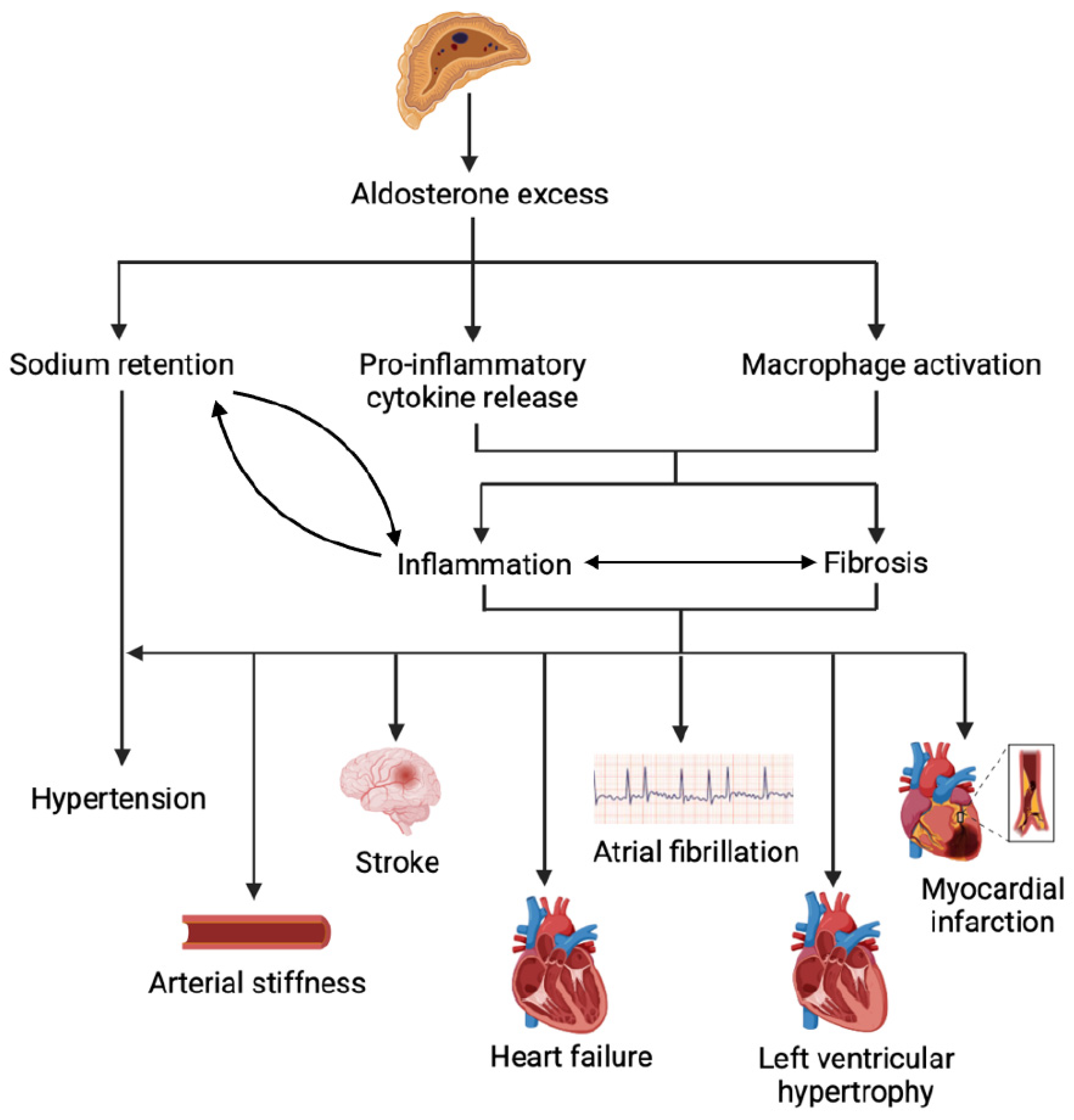 Metabolites 15 00553 g002 Metabolites 15 00553 g002