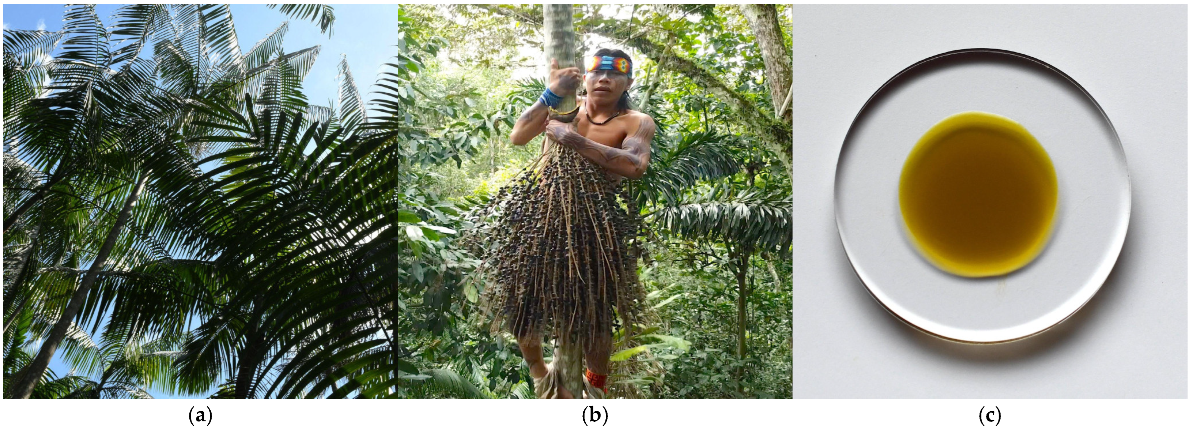 Metabolites 15 00554 g001 Metabolites 15 00554 g001