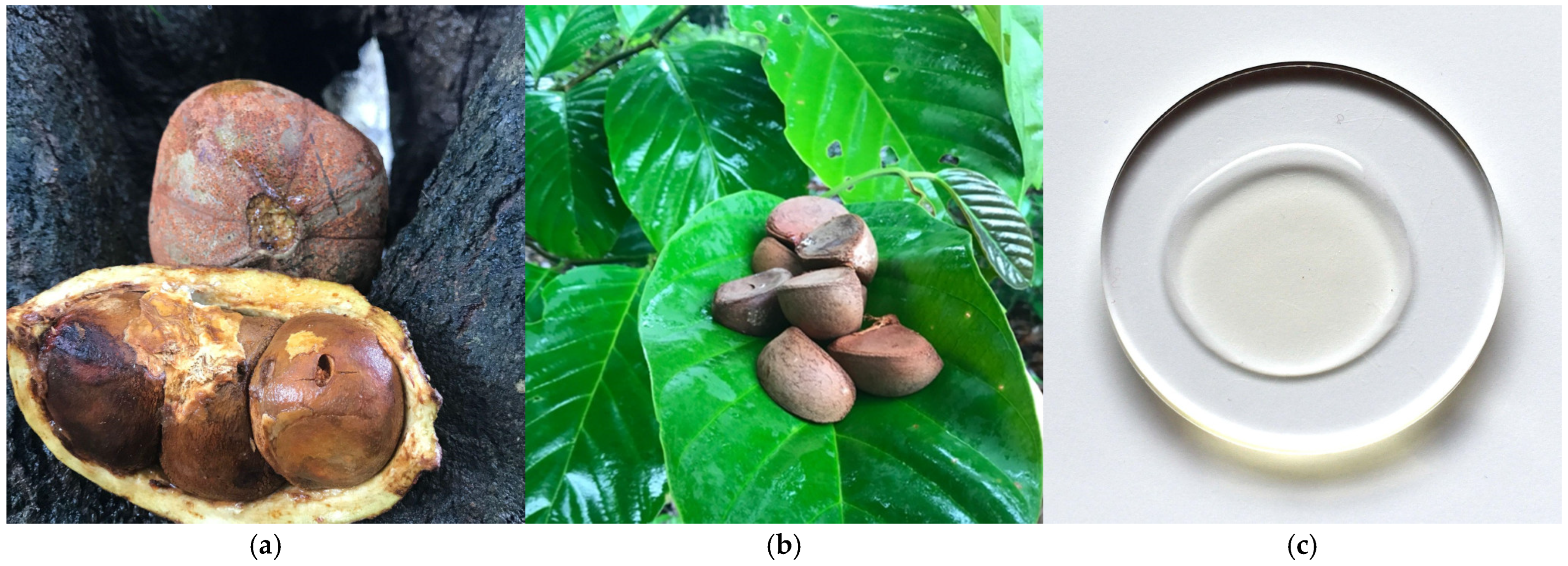 Metabolites 15 00554 g002 Metabolites 15 00554 g002
